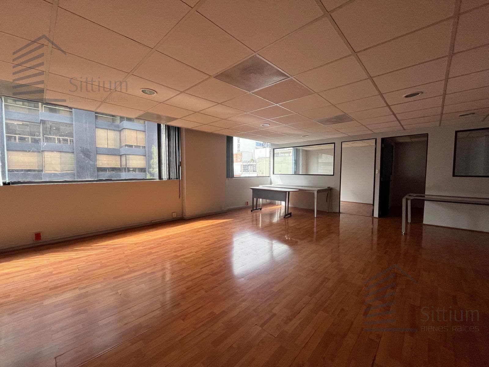 Office for Rent - Anzures - 223 m² - 5th Floor