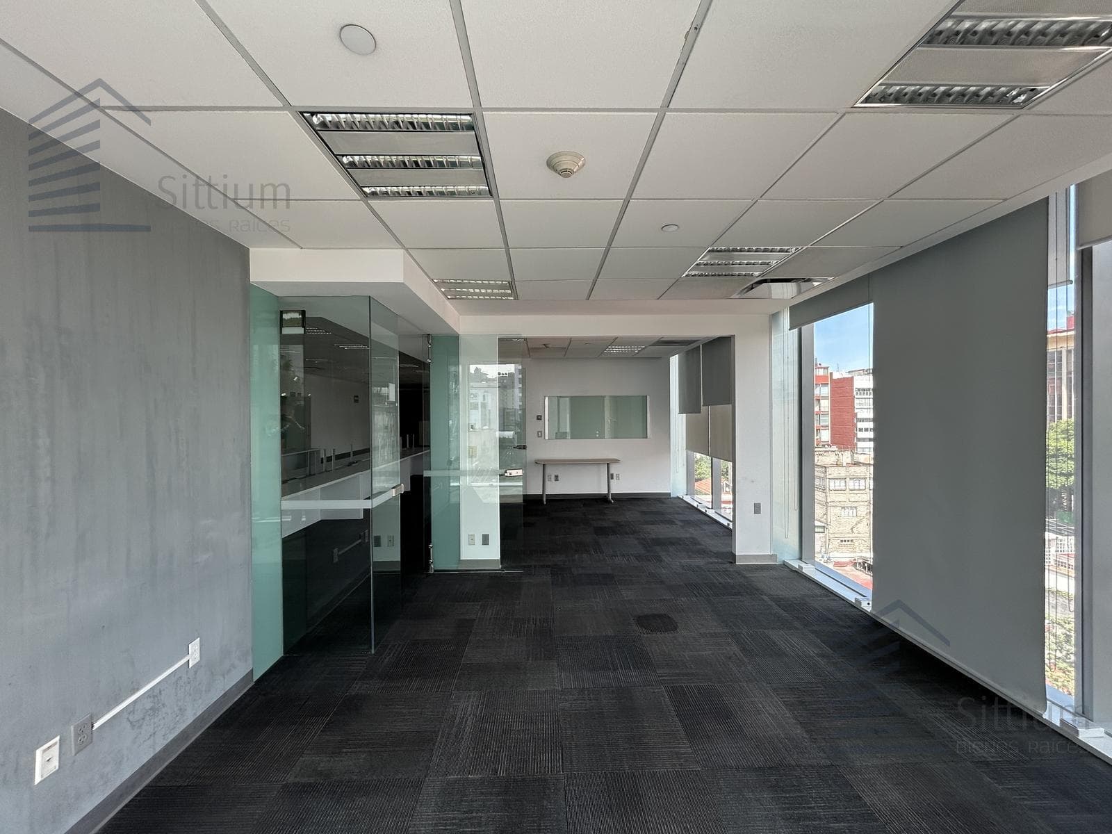 Office for Rent - Anzures - 4th Floor - 393 m2