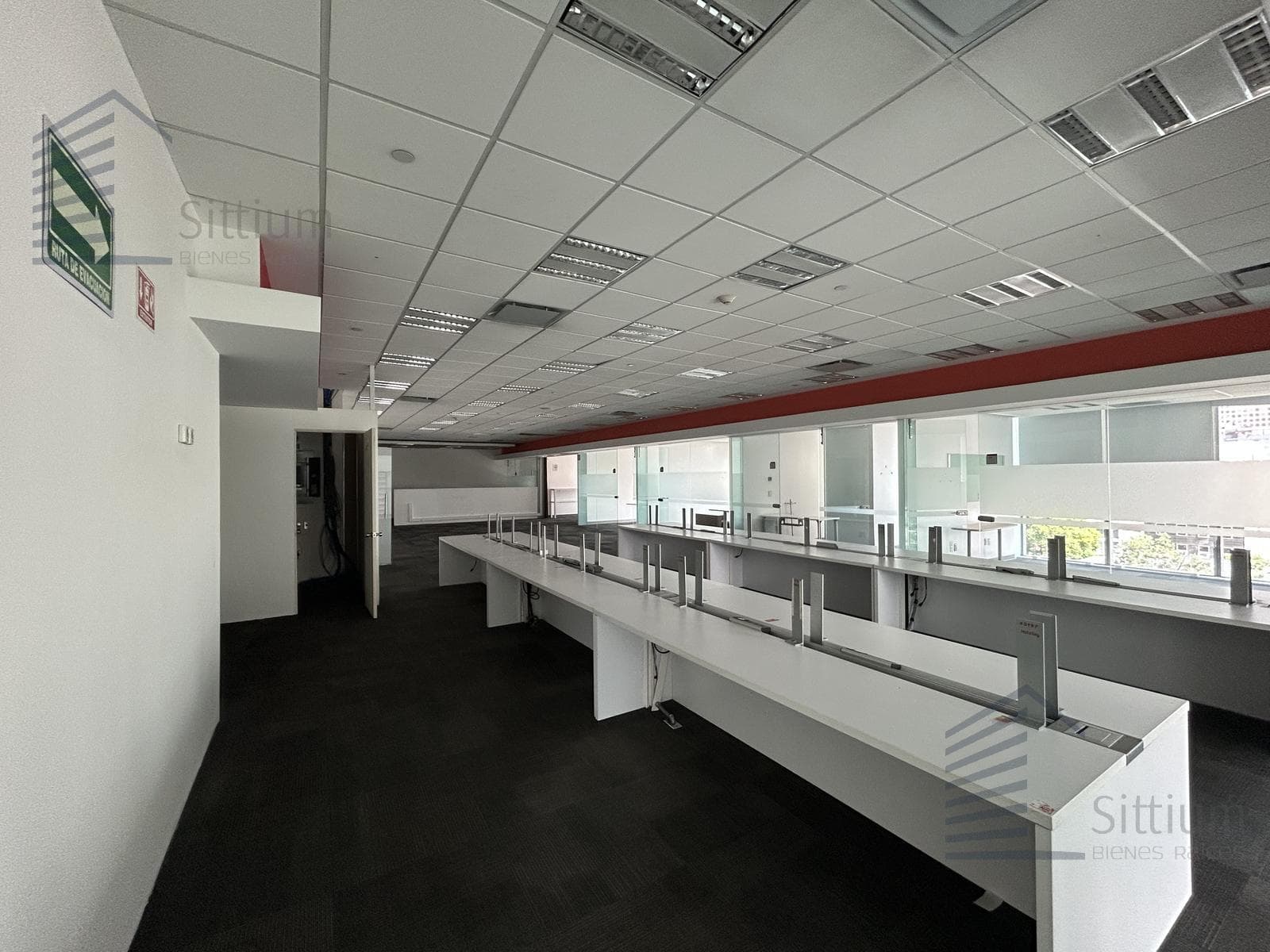 Office for Rent - Anzures - 4th Floor - 393 m2