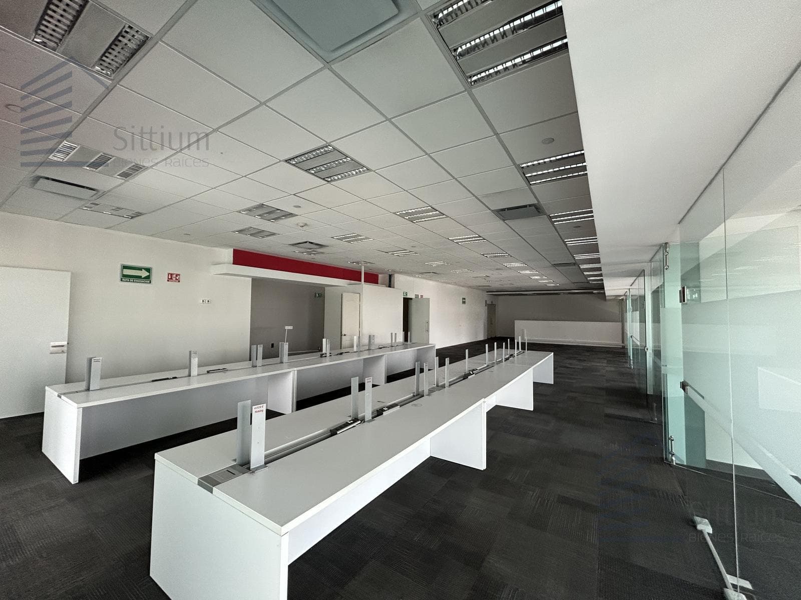 Office for Rent - Anzures - 4th Floor - 393 m2