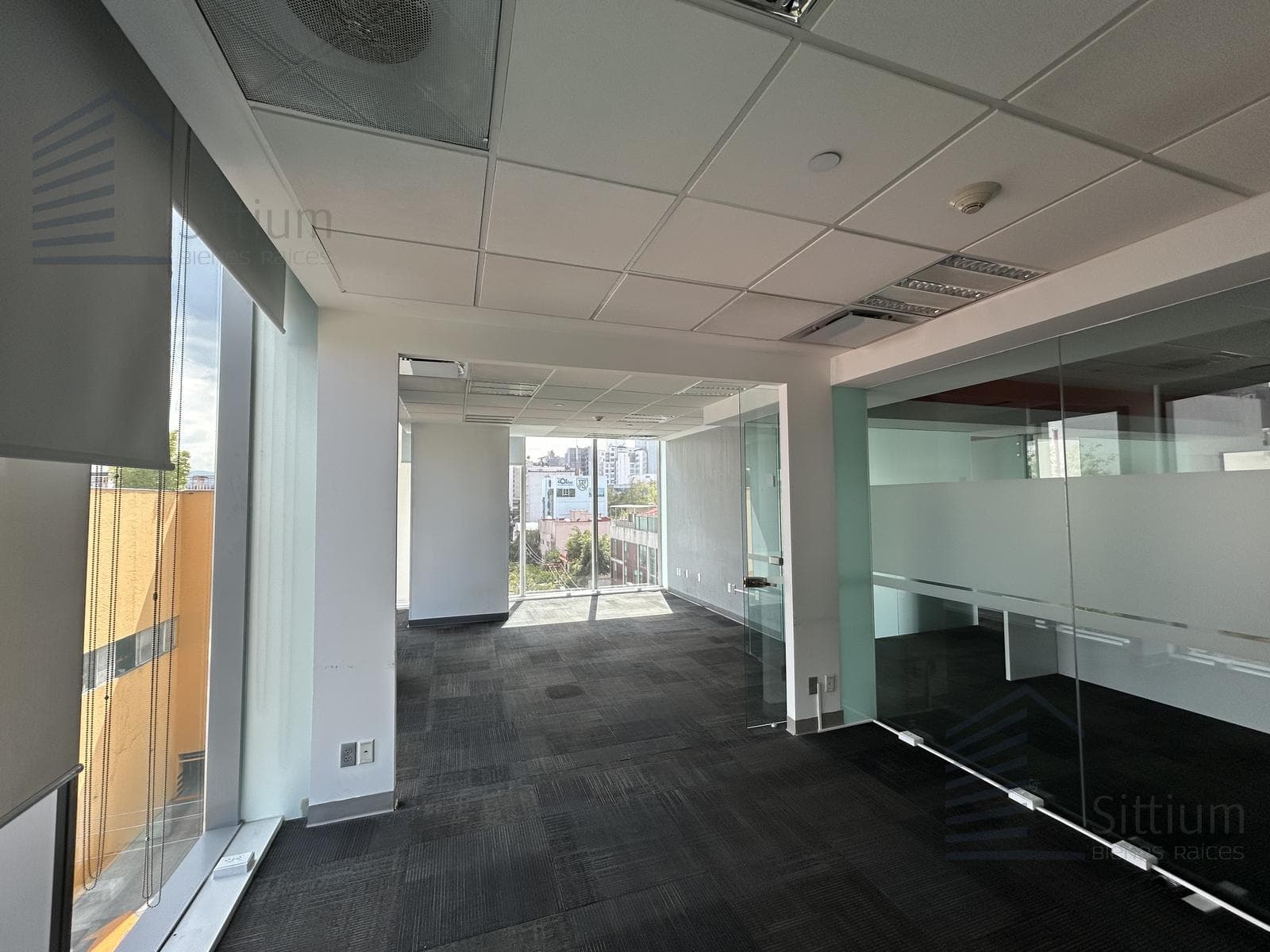 Office for Rent - Anzures - 4th Floor - 393 m2