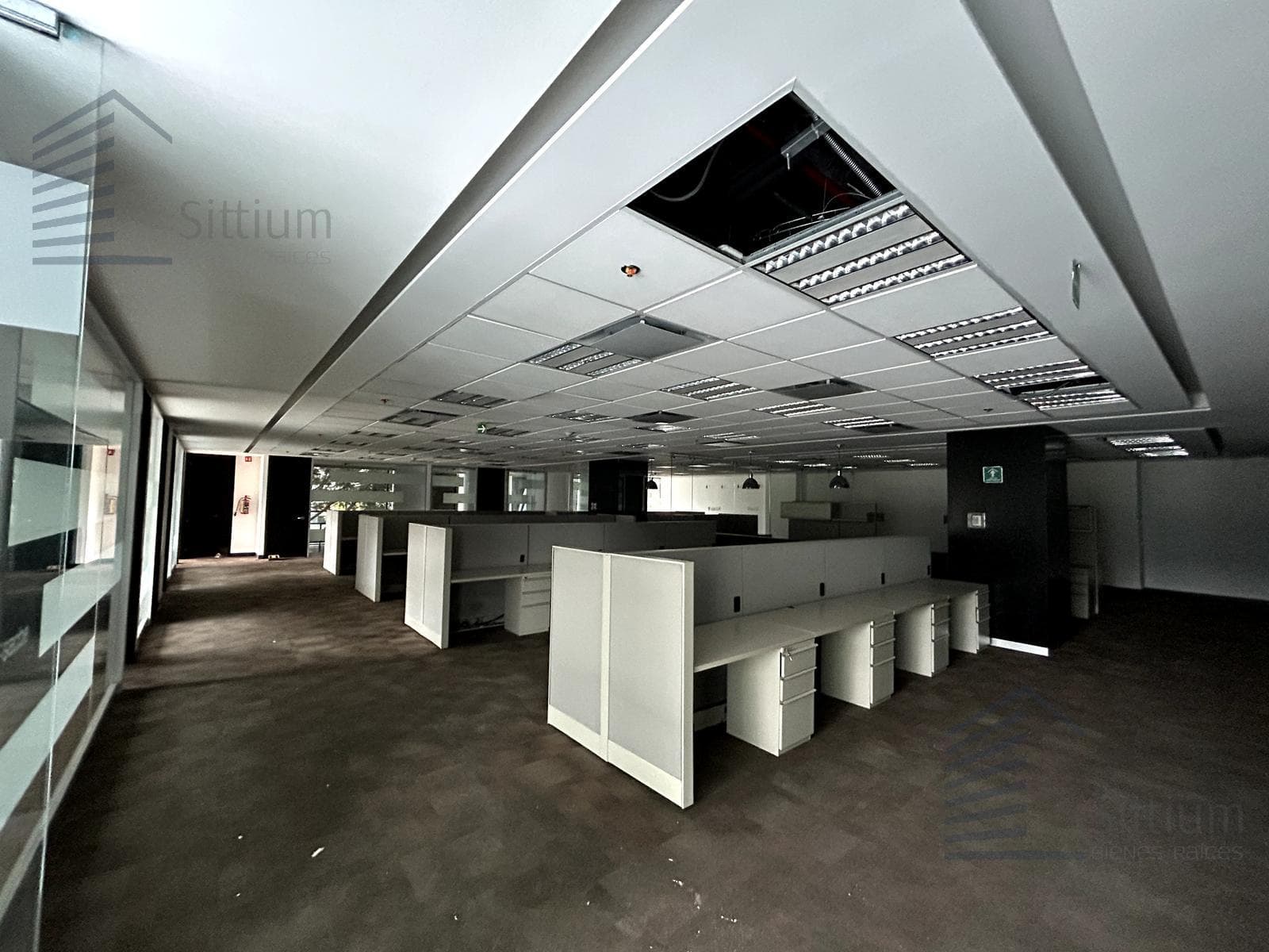 Office for Rent - Lomas de Chapultepec - 2nd Floor - 589 m²