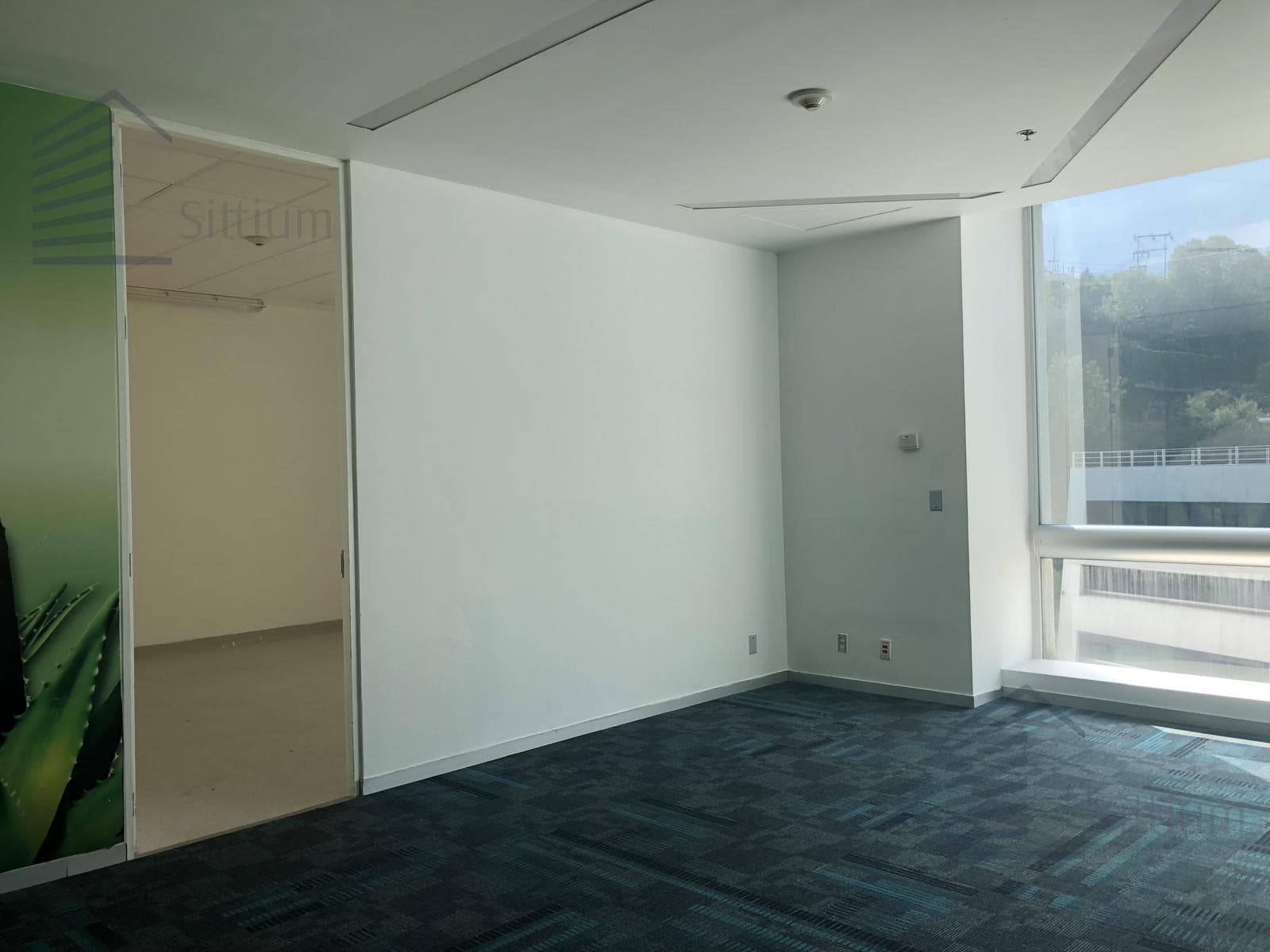 Office for Rent - Arcos Bosques II - 5th Floor - 237 m2