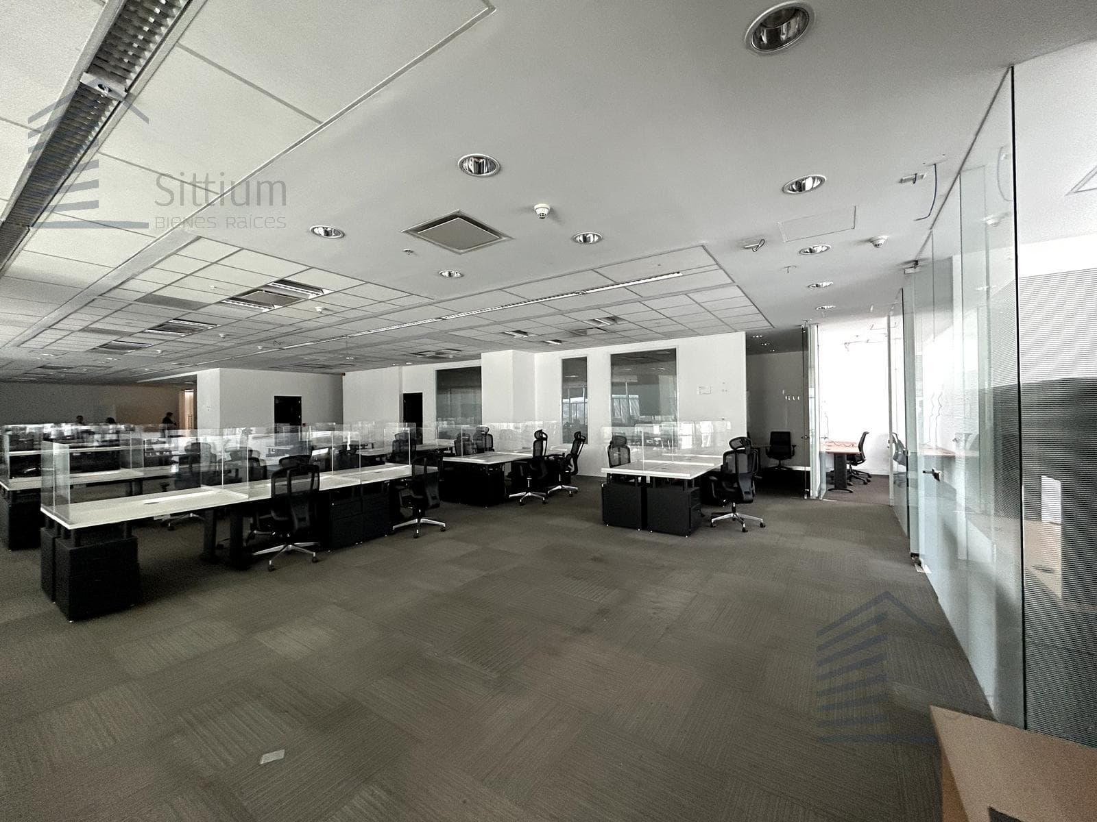 Office for Rent - Carso Polanco - 14th Floor - 600 m²
