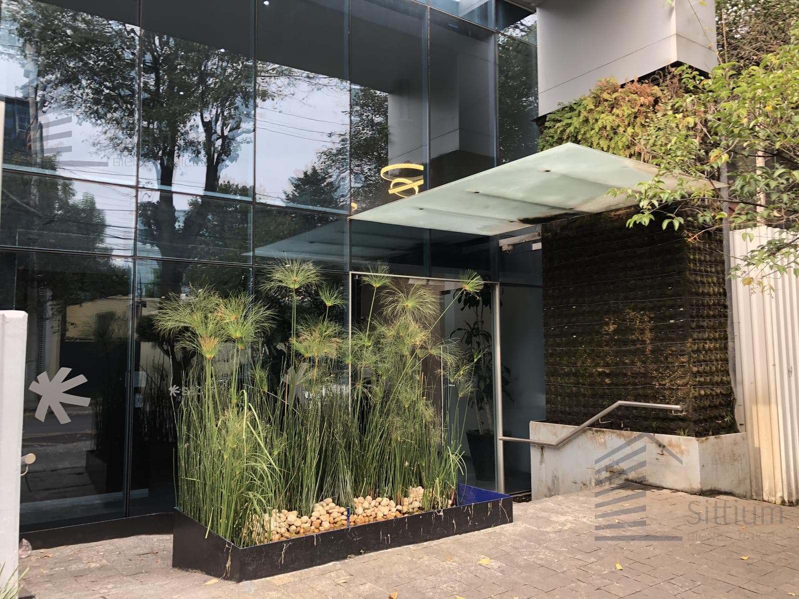 Office for Rent - Lomas de Chapultepec - 3rd Floor - 570 m²