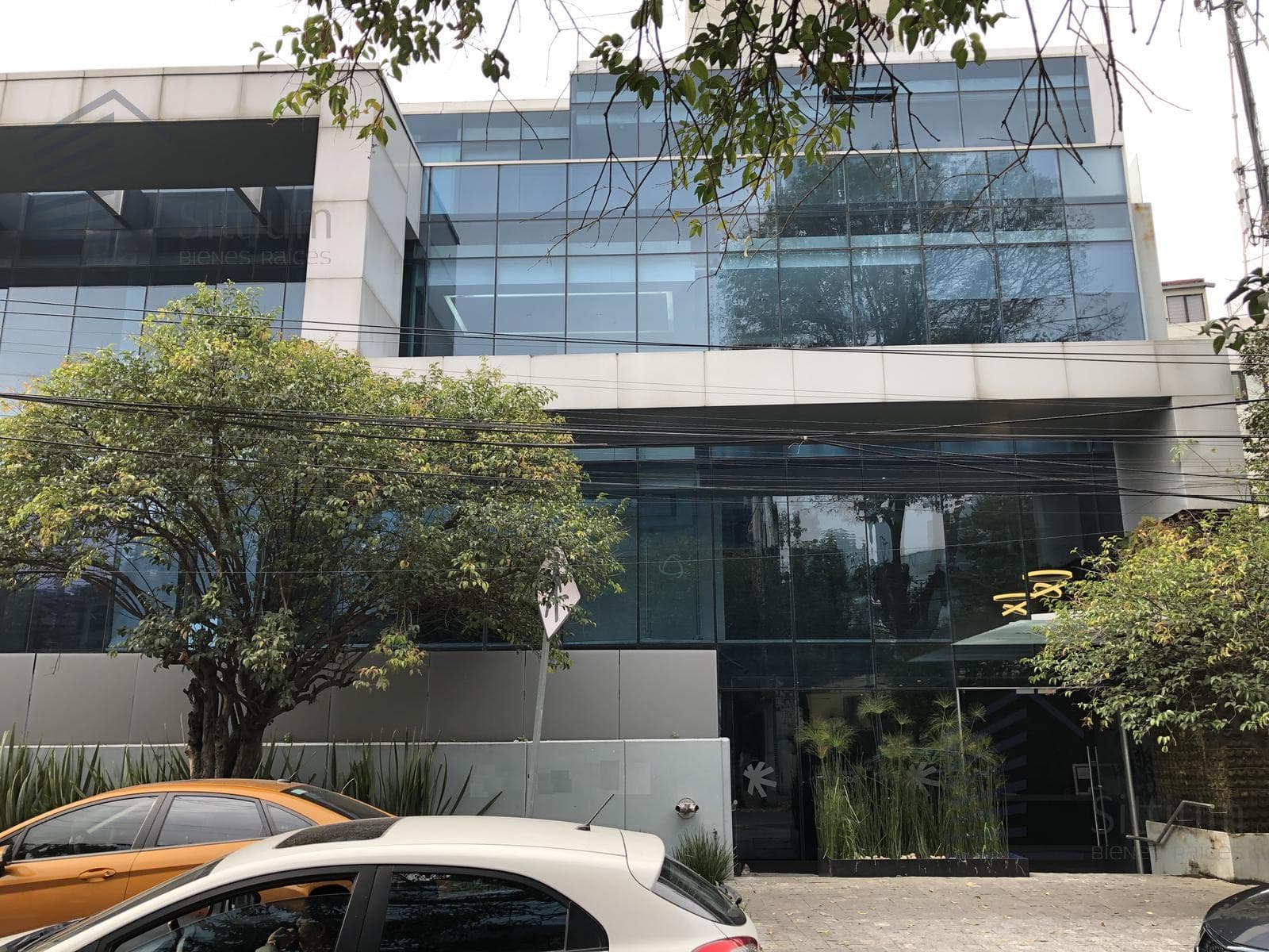 Office for Rent - Lomas de Chapultepec - 3rd Floor - 570 m²