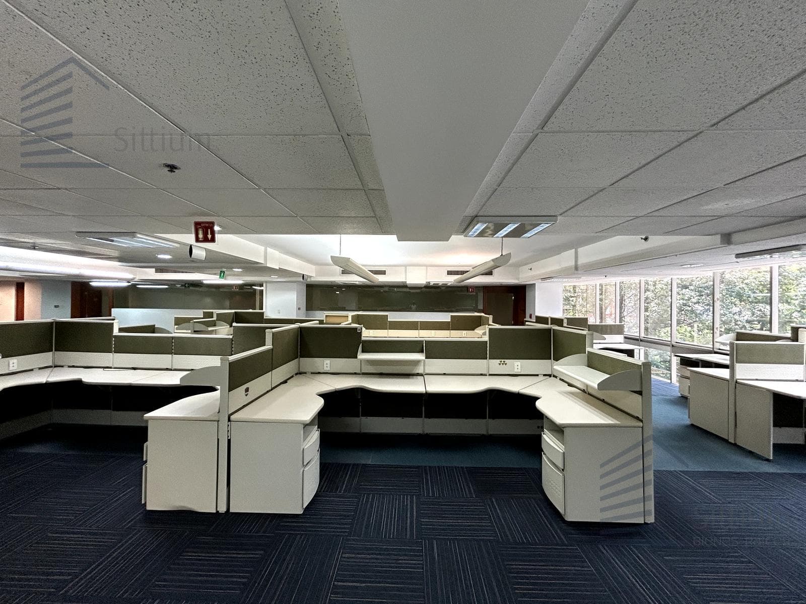 Office for Rent - Polanco - 2nd Floor - 825 m2