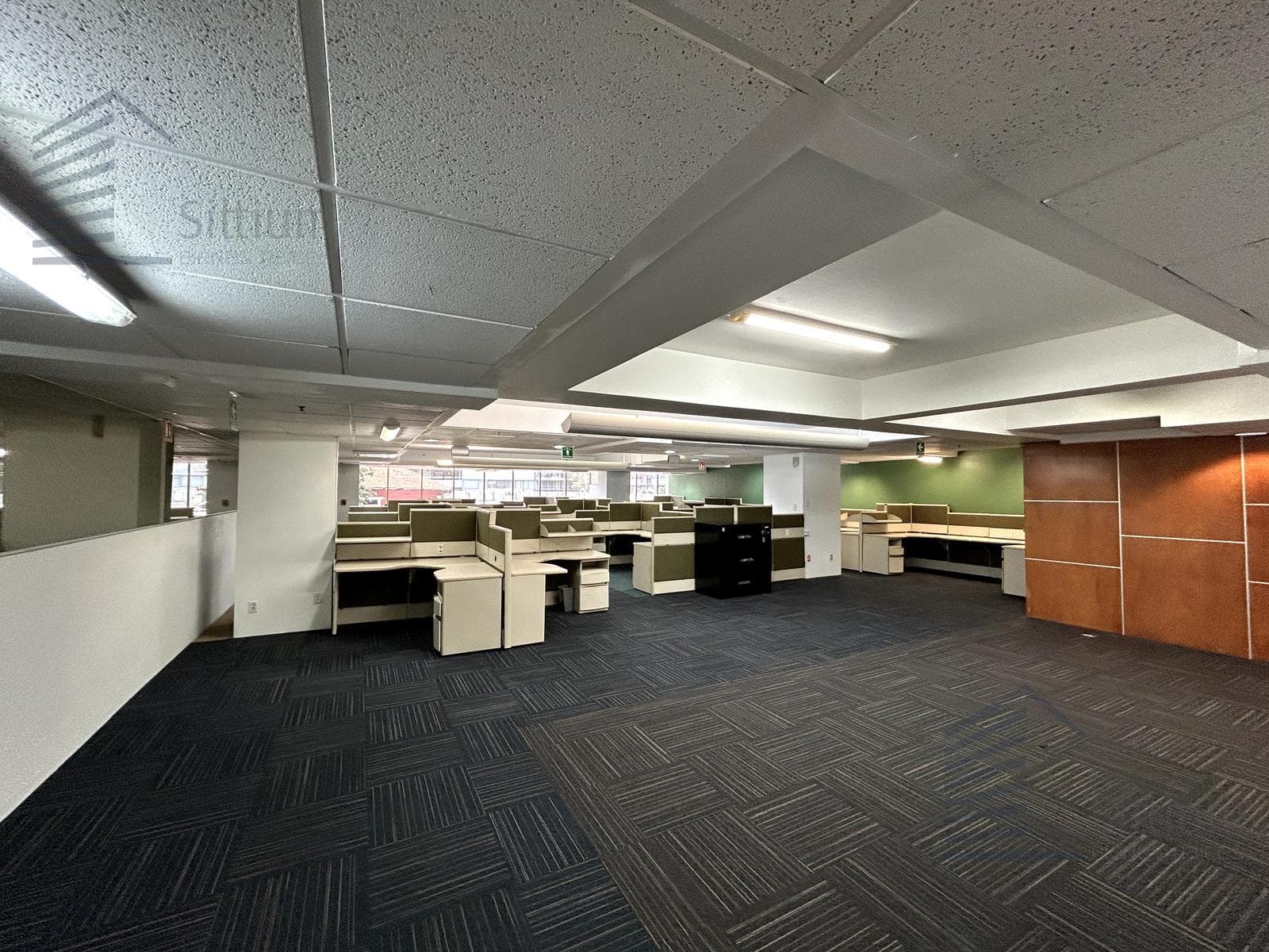 Office for Rent - Polanco - 2nd Floor - 825 m2