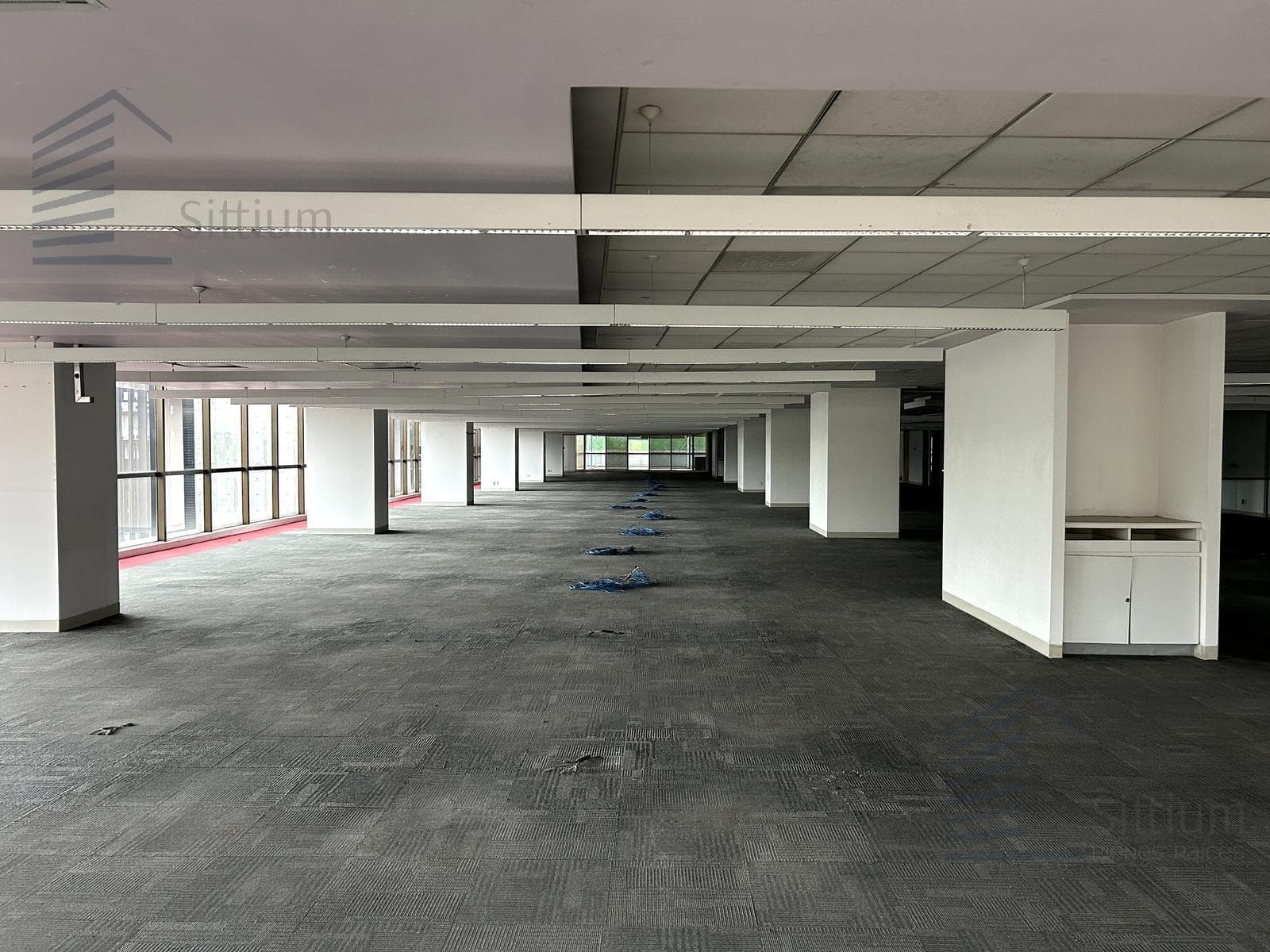 Office for Rent in Polanco - 1st Floor - 1,475 m2