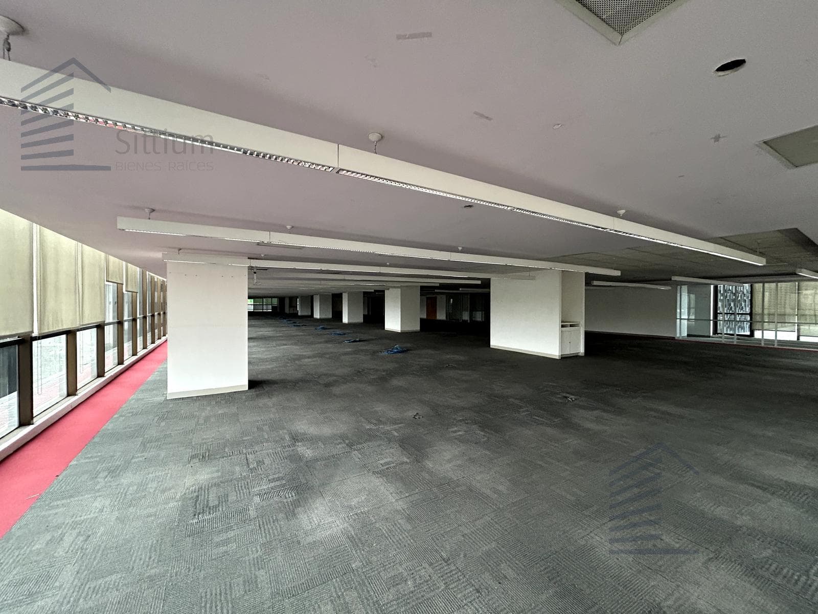 Office for Rent in Polanco - 1st Floor - 1,475 m2