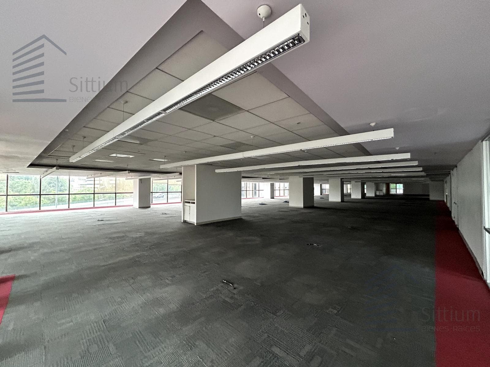 Office for Rent in Polanco - 1st Floor - 1,475 m2