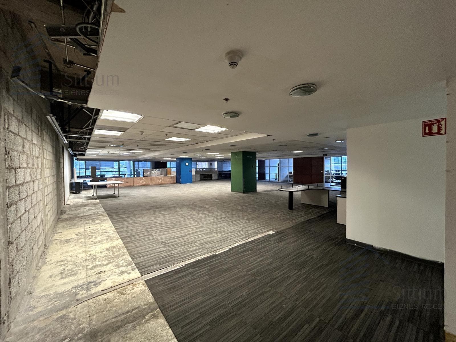 Office for Rent - Polanco - 5th Floor - 754 m2