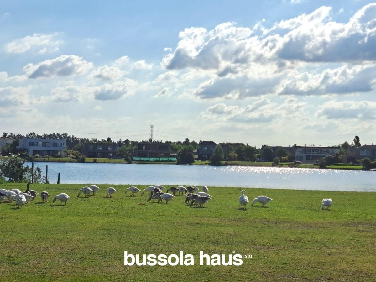 Land for sale near the lake—excellent location in San Gabriel Villanueva