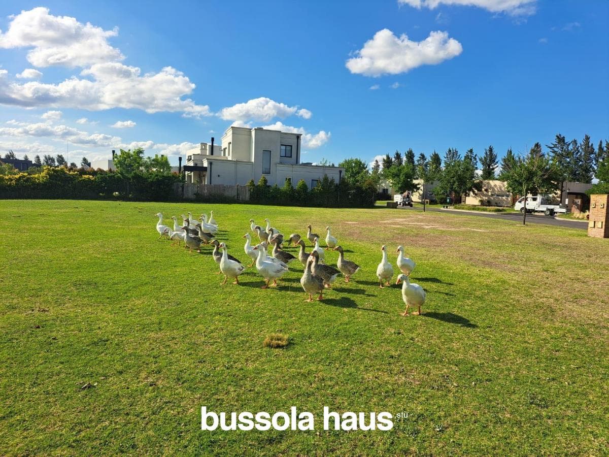 Land for sale near the lake—excellent location in San Gabriel Villanueva
