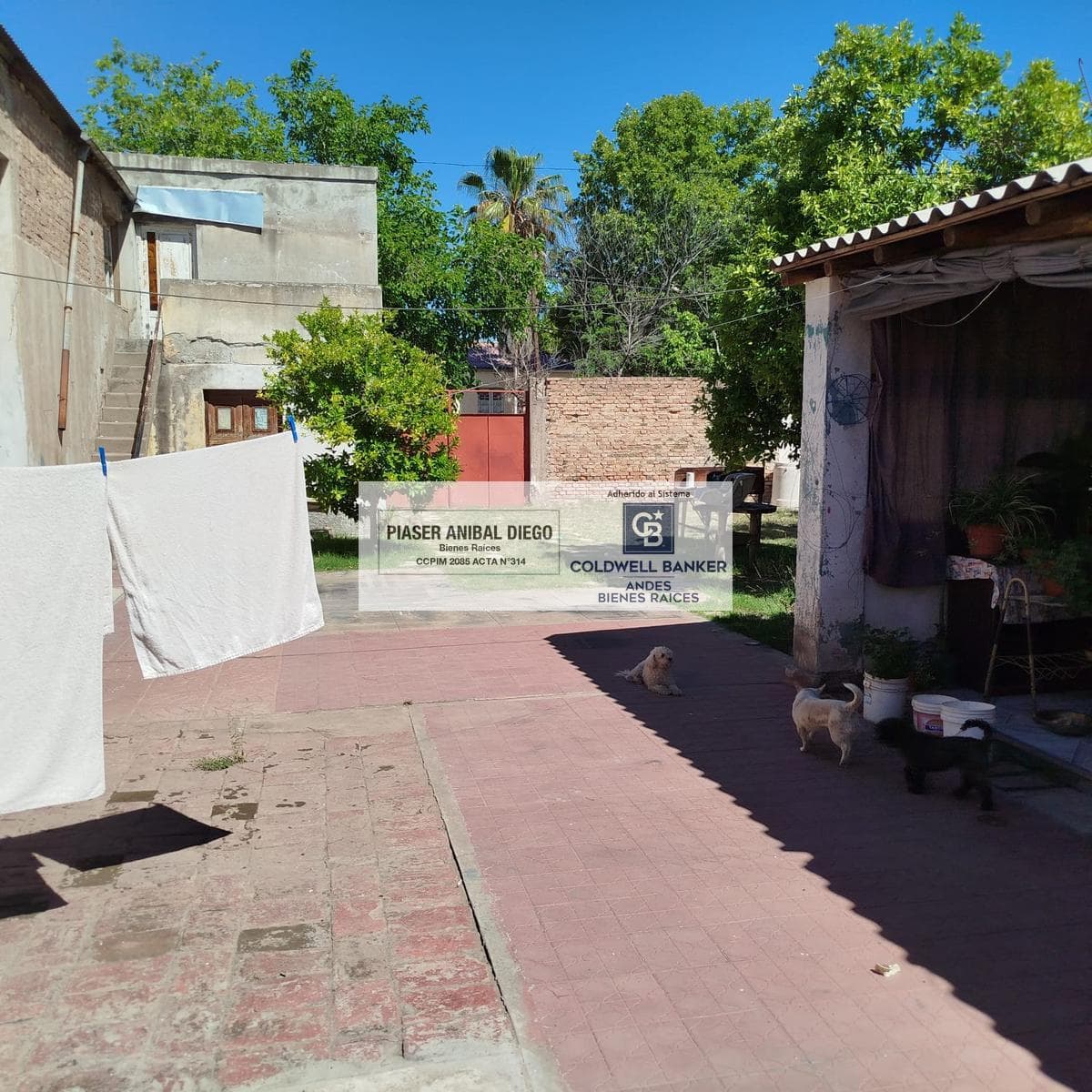Central warehouse and lot in San Rafael