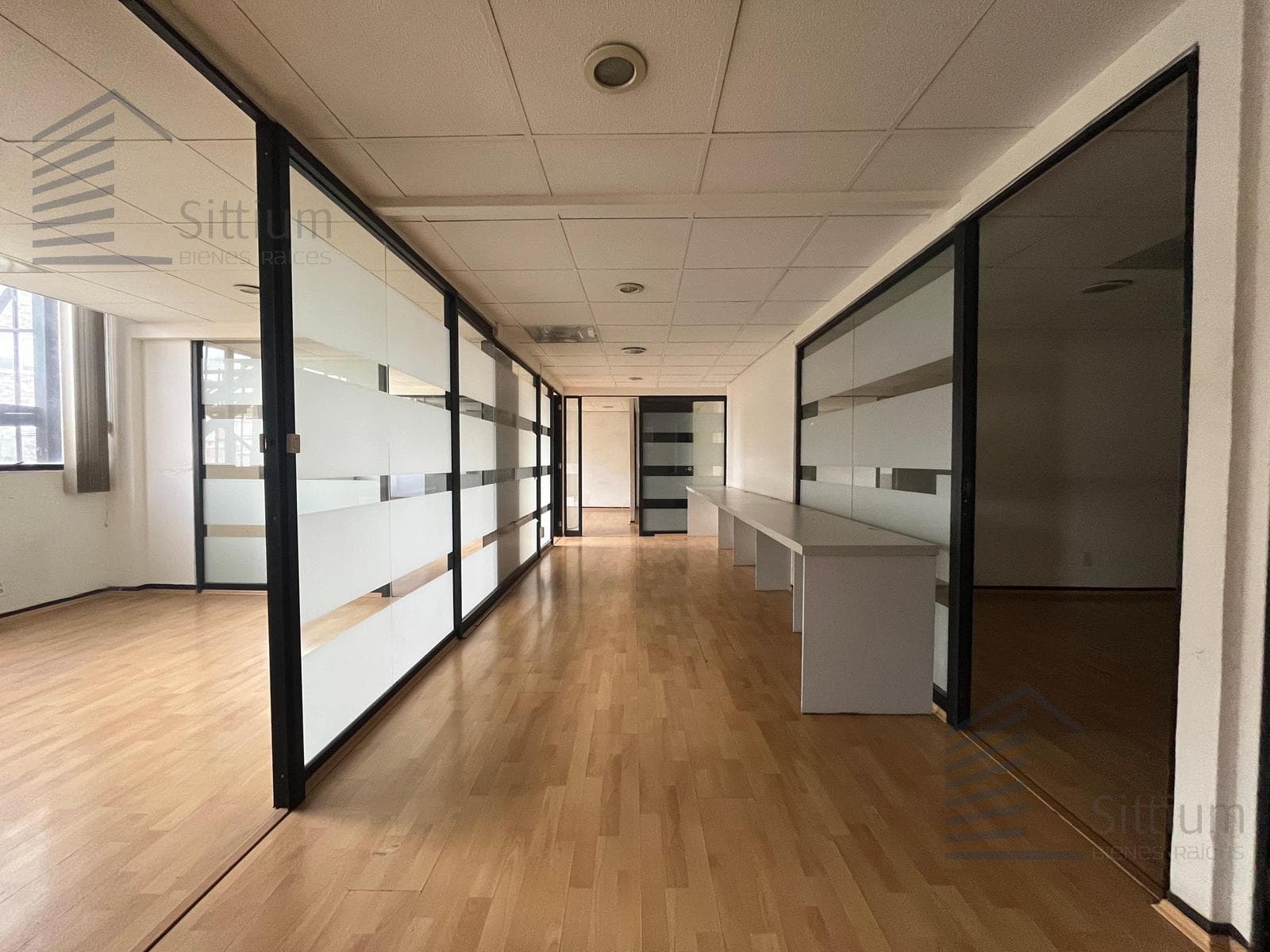 Office for Rent - Anzures - 188 m² - 5th Floor