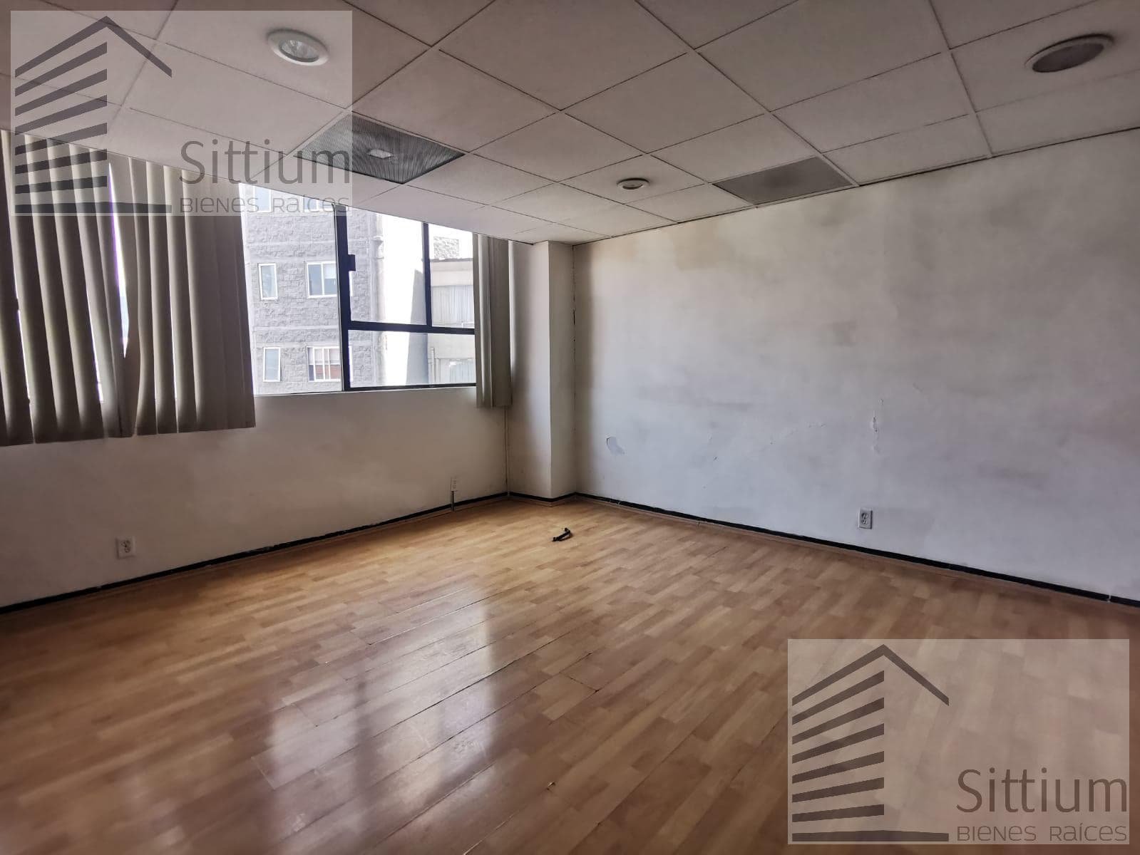 Office for Rent - Anzures - 188 m² - 5th Floor