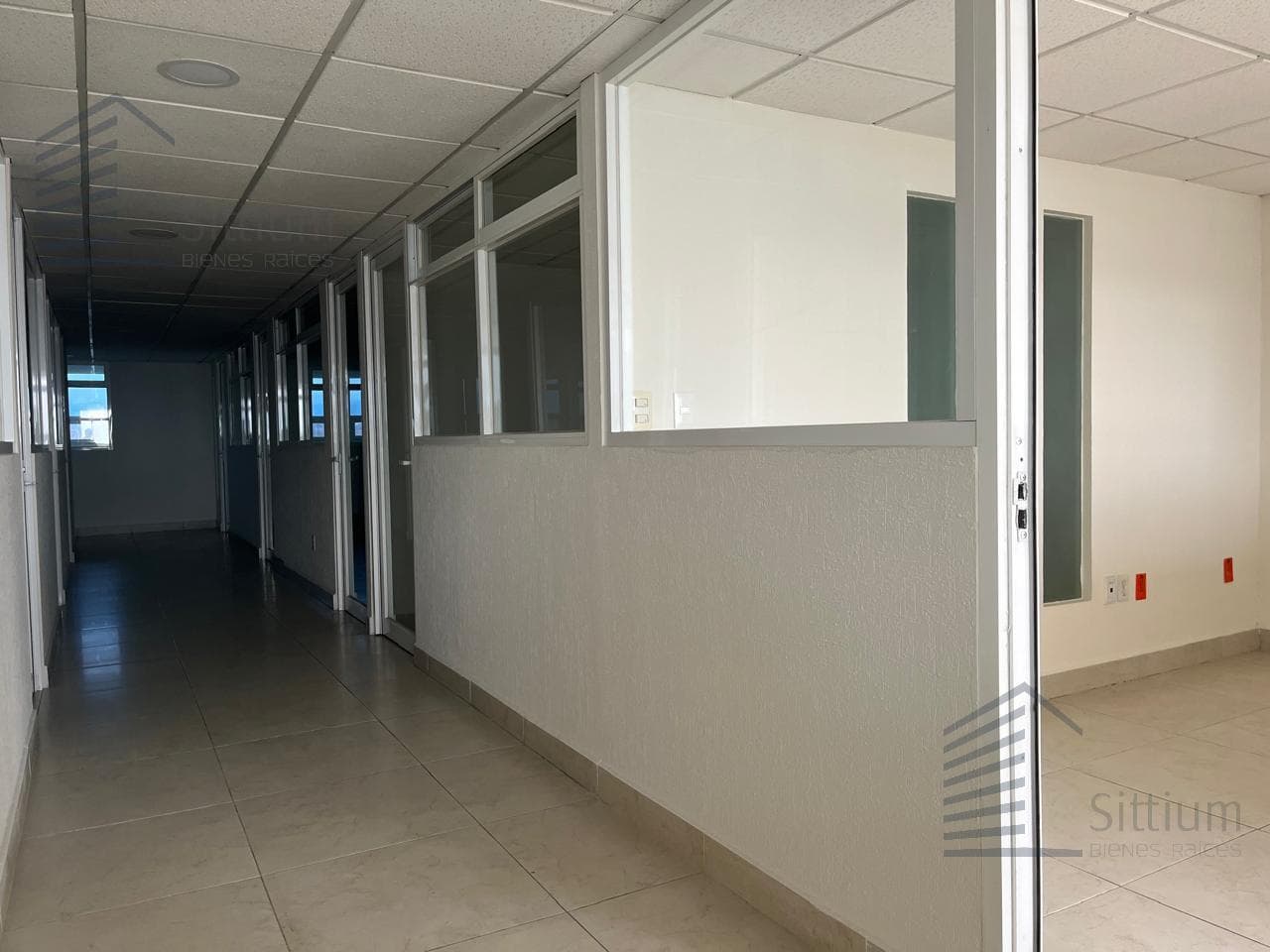 Office for Rent - Río Elba - 14th Floor - 614 m²