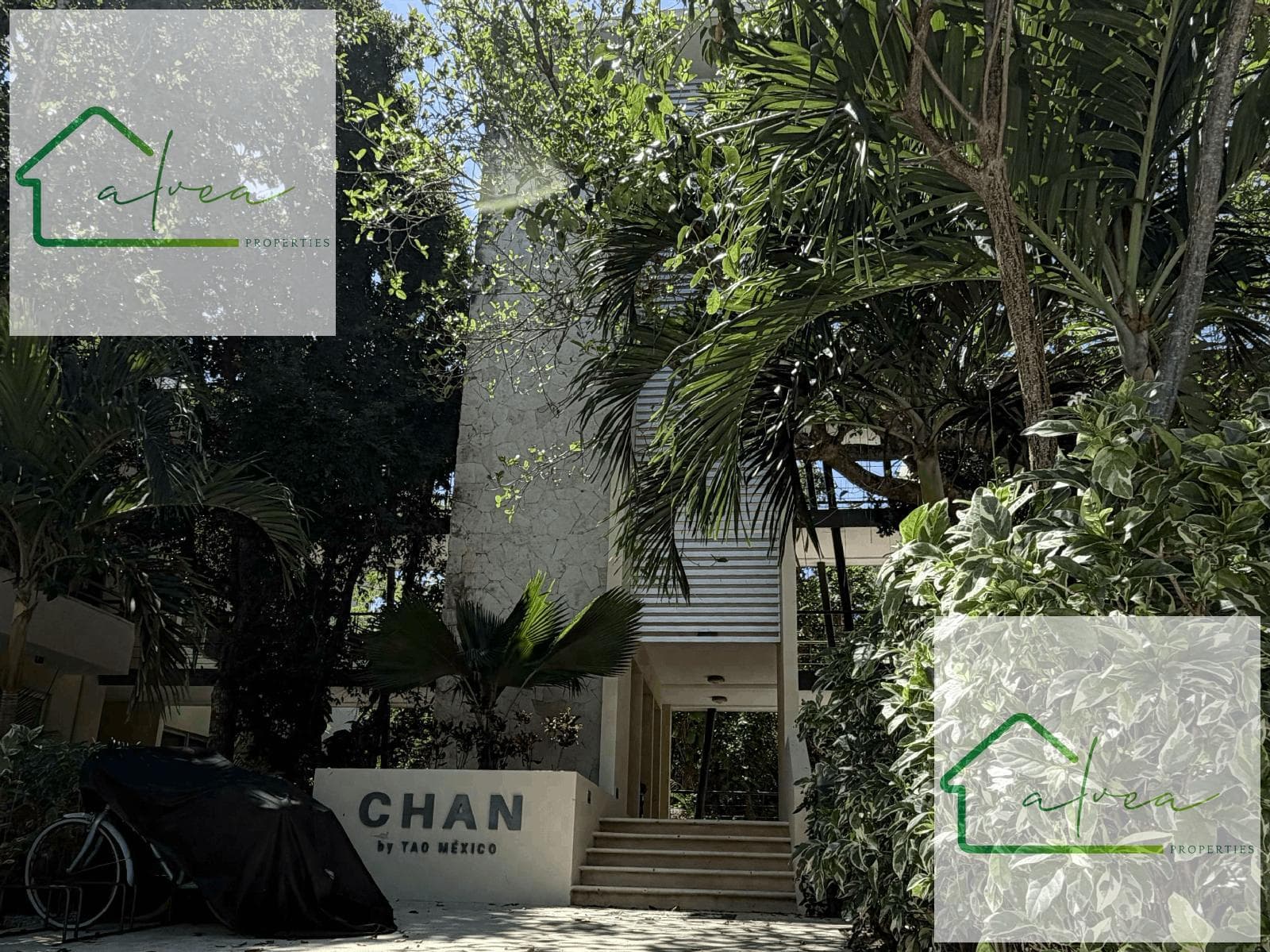 Furnished Apartment for Sale and Rent in Grand Sirenis, Riviera Maya