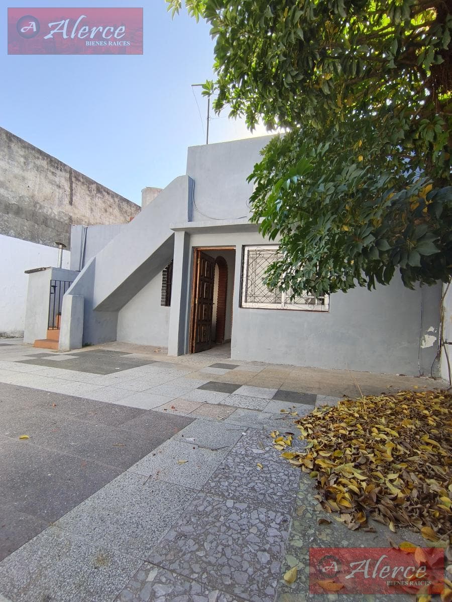 3-ROOM HOUSE WITH A COURTYARD AND TERRACE
