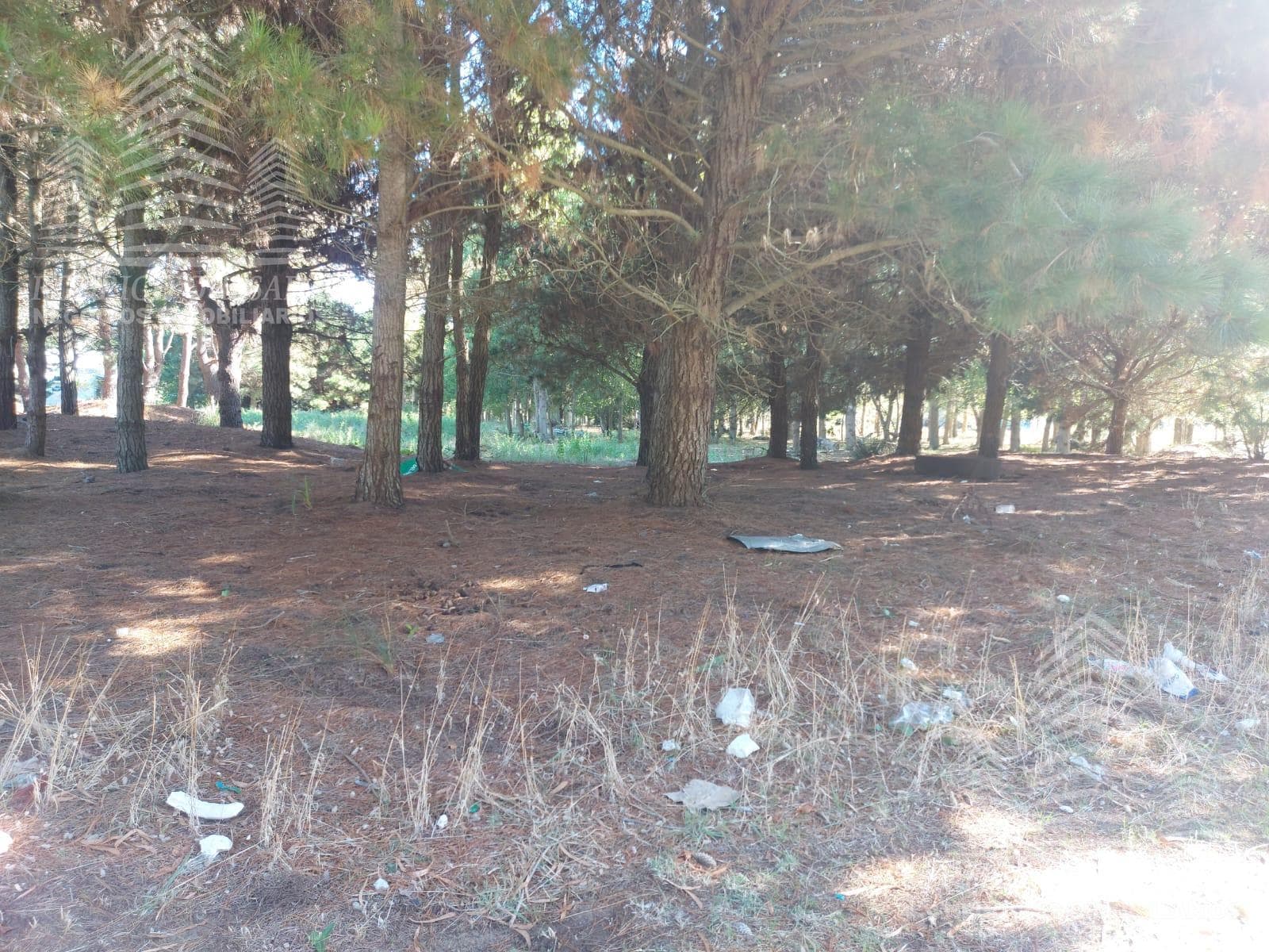 Lot in a residential area!