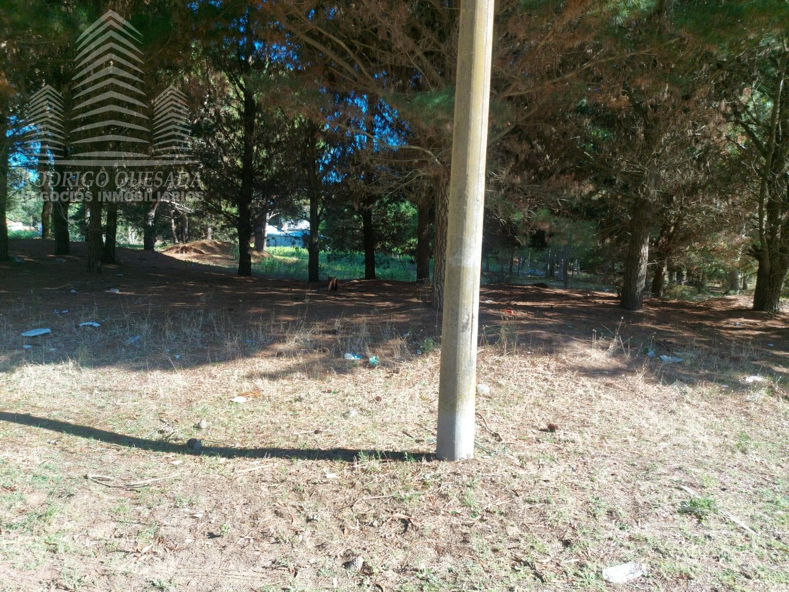 Lot in a residential area!