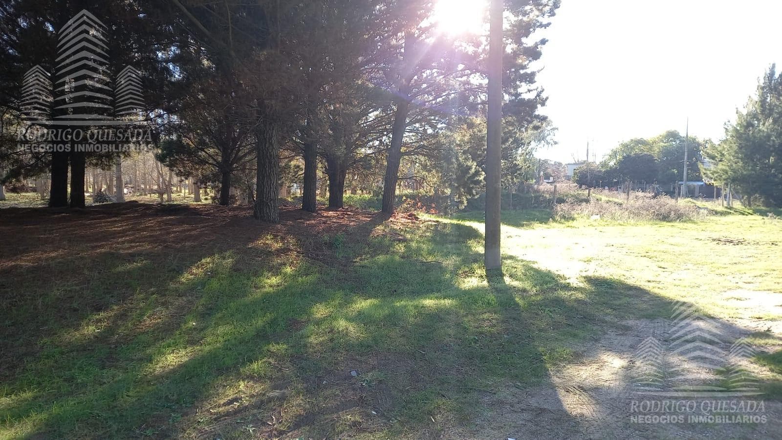 Lot in a residential area!