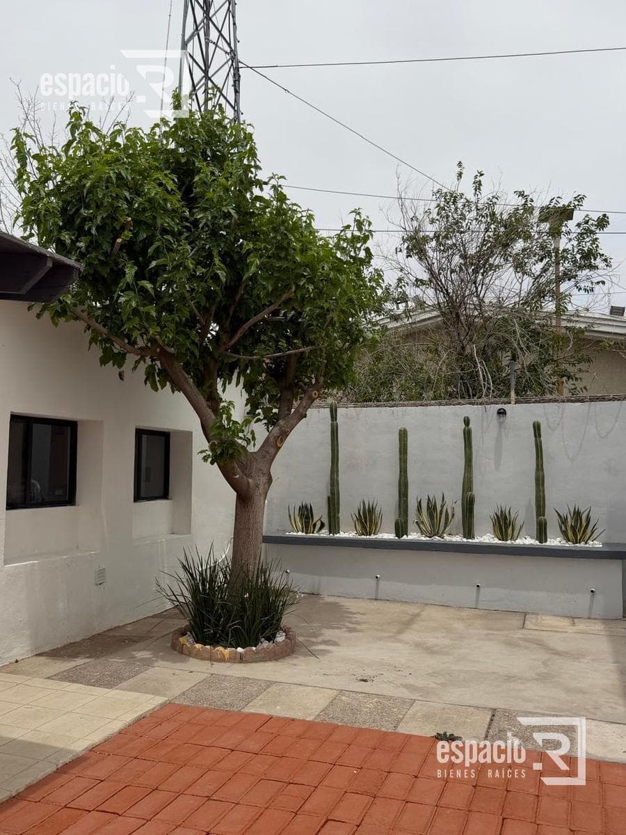 FURNISHED APARTMENT FOR RENT IN DOWNTOWN