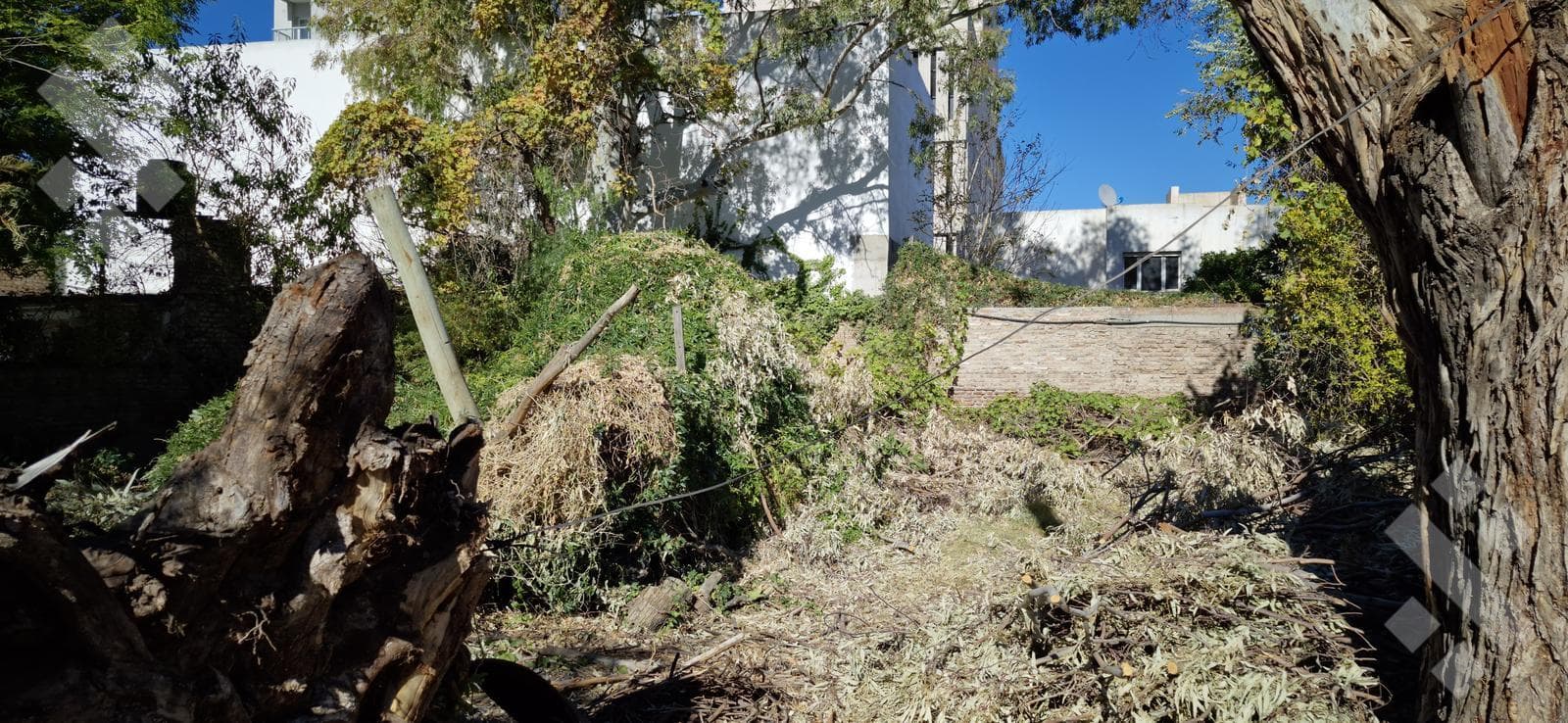 House for Sale on a 500-square-meter Lot | Suitable for Development | 735 Rivadavia, Neuquén