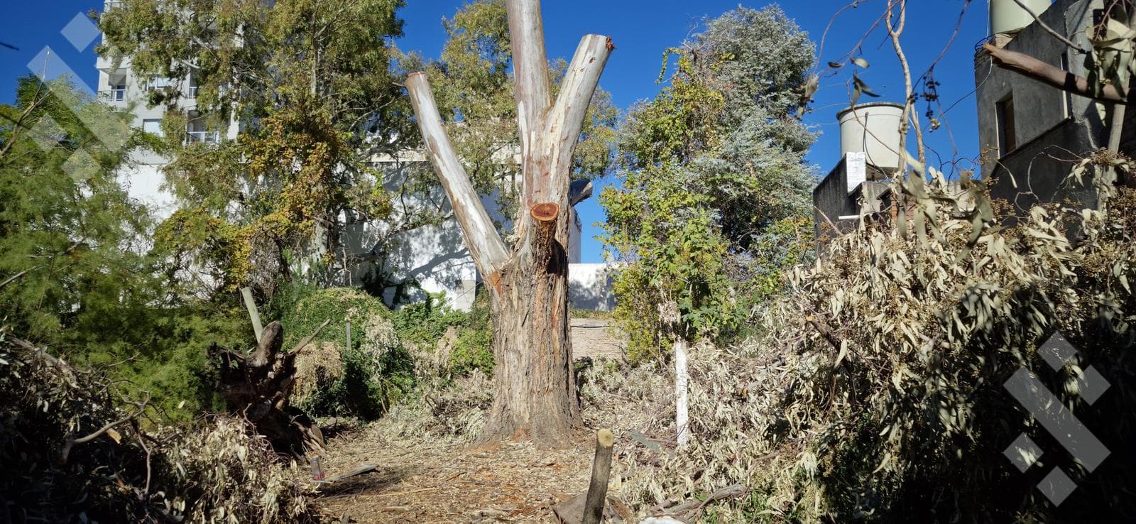 House for Sale on a 500-square-meter Lot | Suitable for Development | 735 Rivadavia, Neuquén