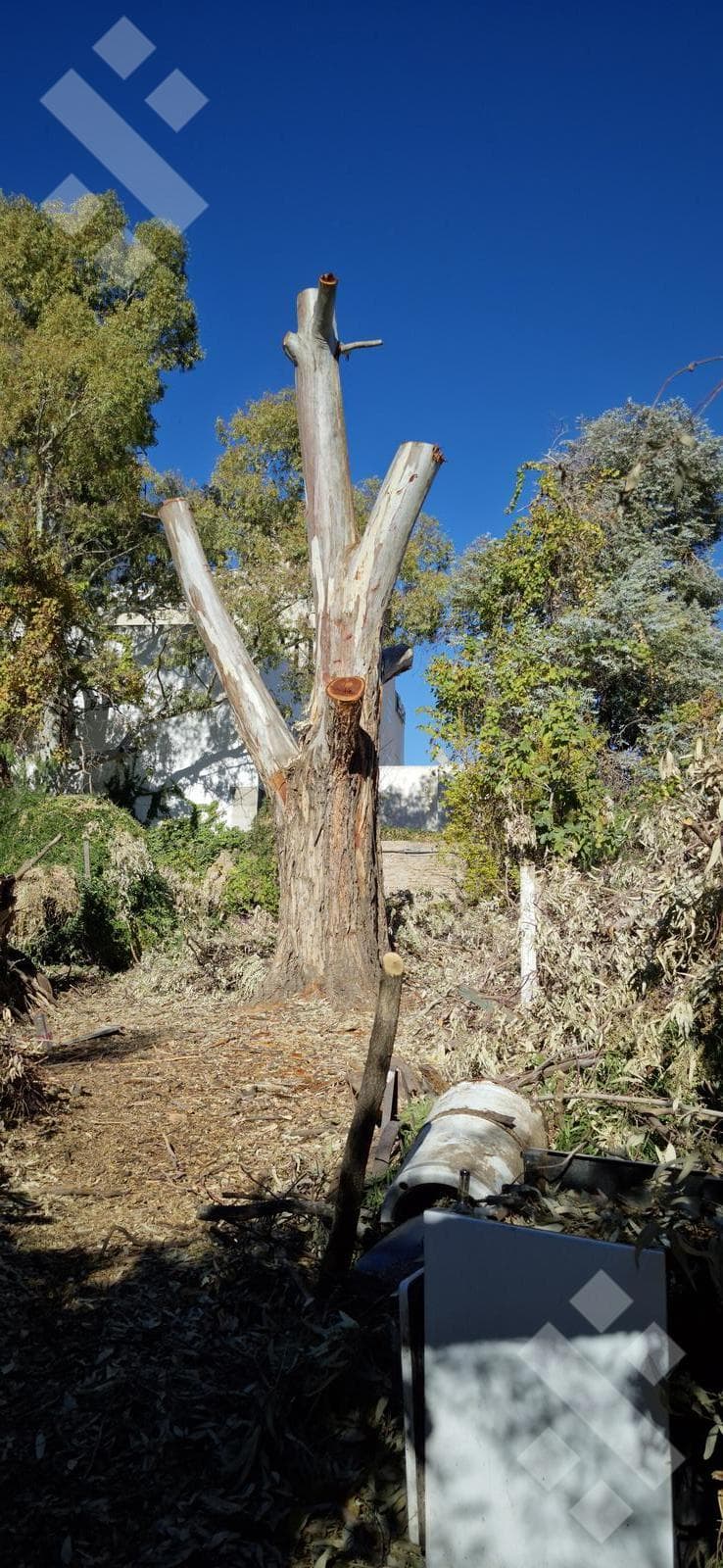 House for Sale on a 500-square-meter Lot | Suitable for Development | 735 Rivadavia, Neuquén