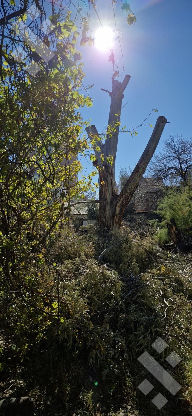 House for Sale on a 500-square-meter Lot | Suitable for Development | 735 Rivadavia, Neuquén