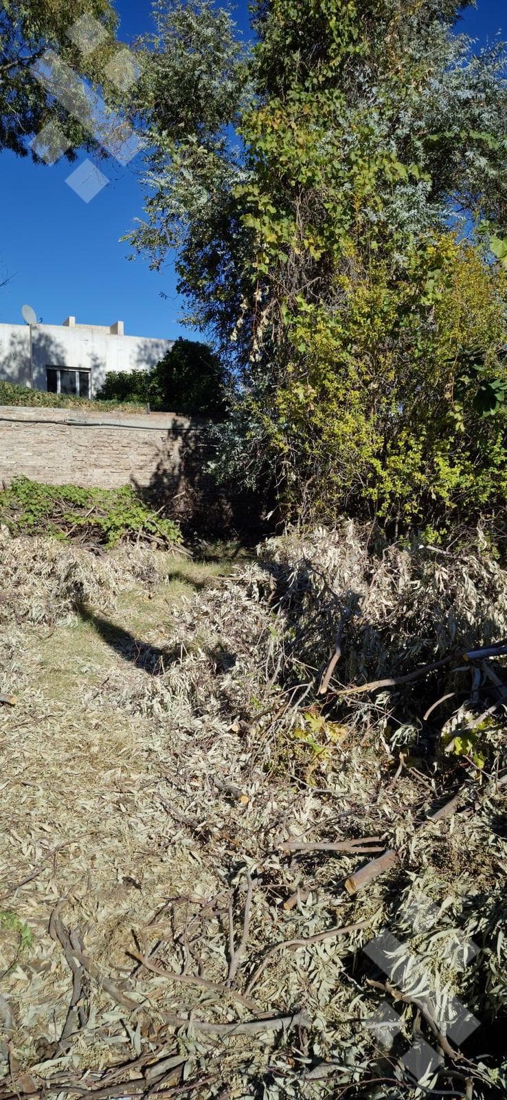 House for Sale on a 500-square-meter Lot | Suitable for Development | 735 Rivadavia, Neuquén