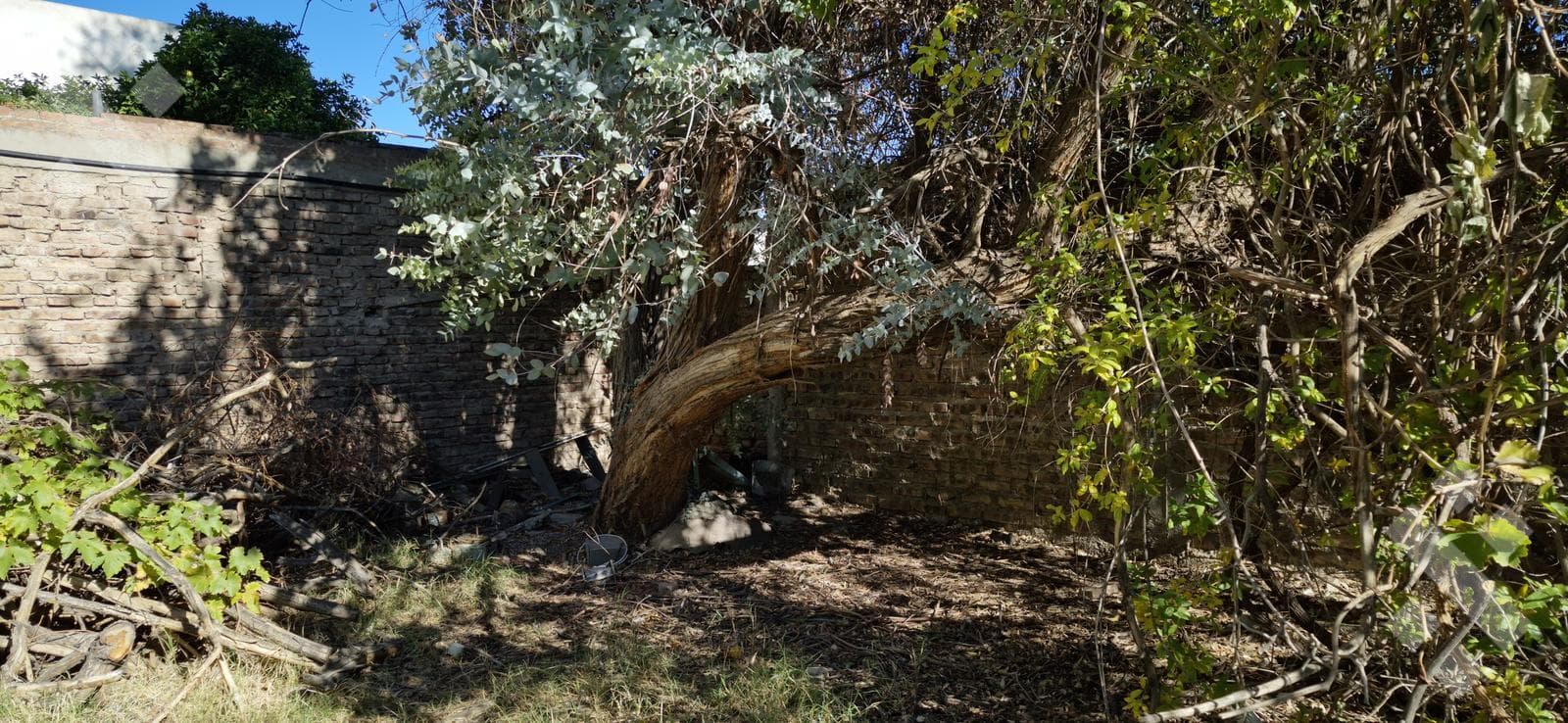 House for Sale on a 500-square-meter Lot | Suitable for Development | 735 Rivadavia, Neuquén