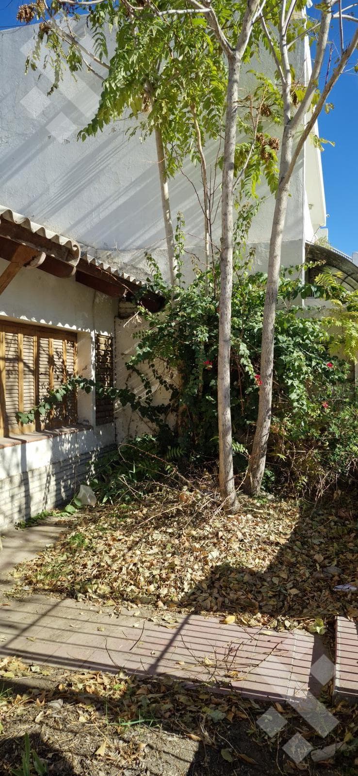House for Sale on a 500-square-meter Lot | Suitable for Development | 735 Rivadavia, Neuquén