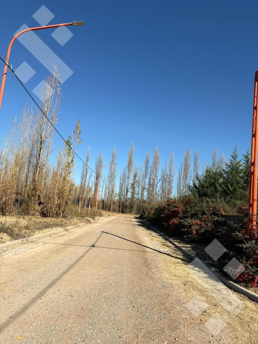 Land in Cinco Saltos