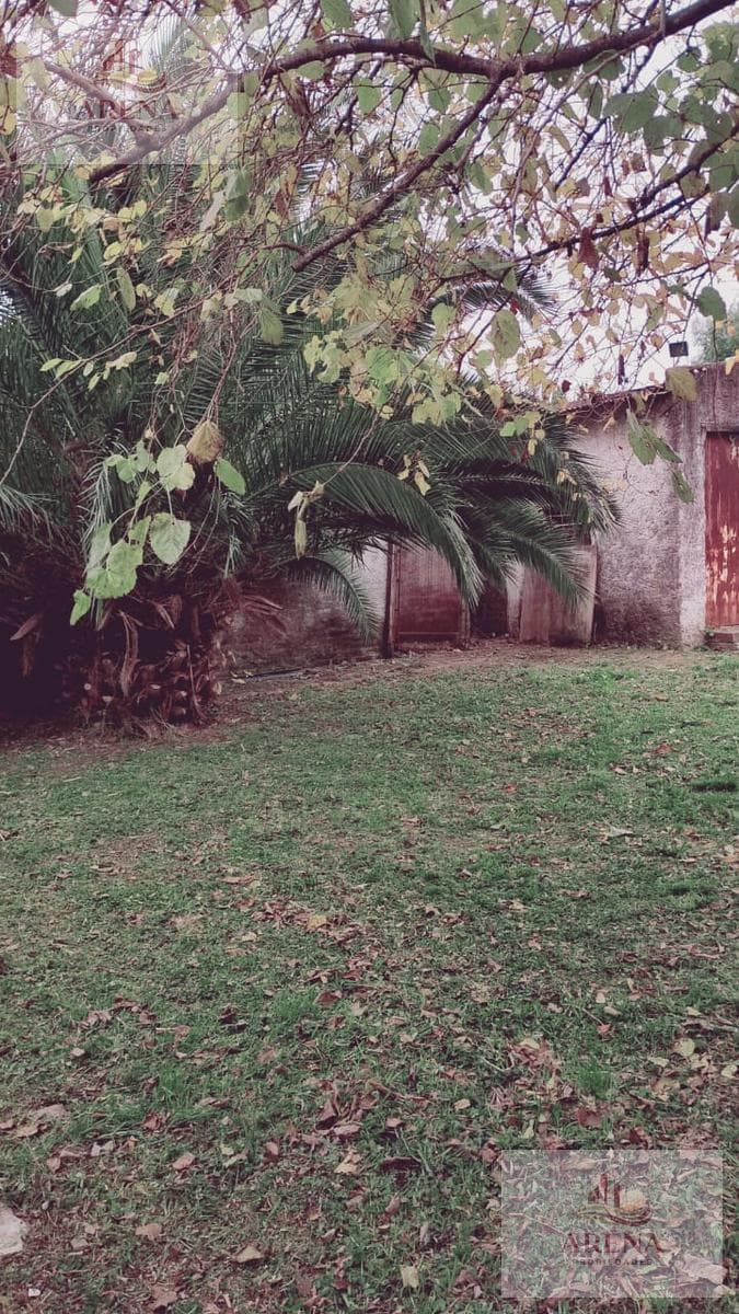 Land for Sale in Catelar Sur