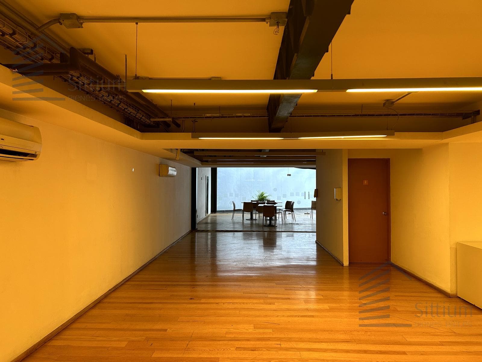 Office for Rent - Insurgentes Sur - 1st Floor - 481 m2