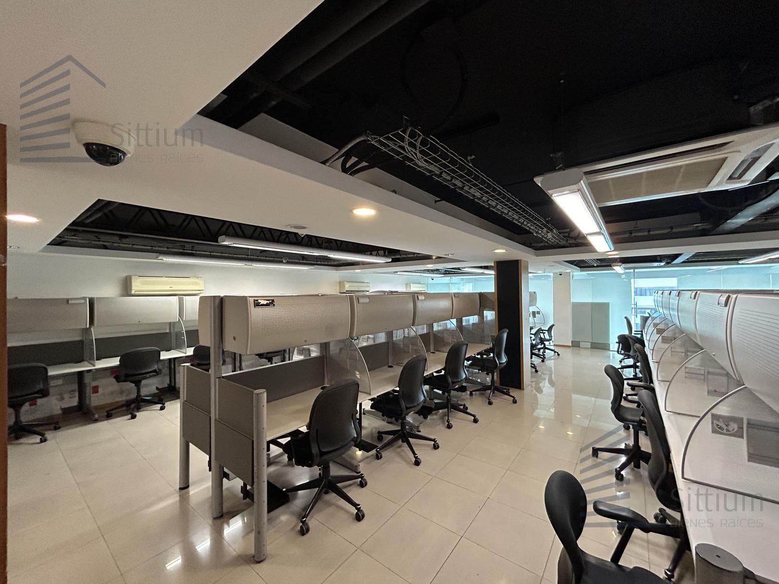 Furnished Office for Rent - Insurgentes Sur - 8th Floor - 303 m2
