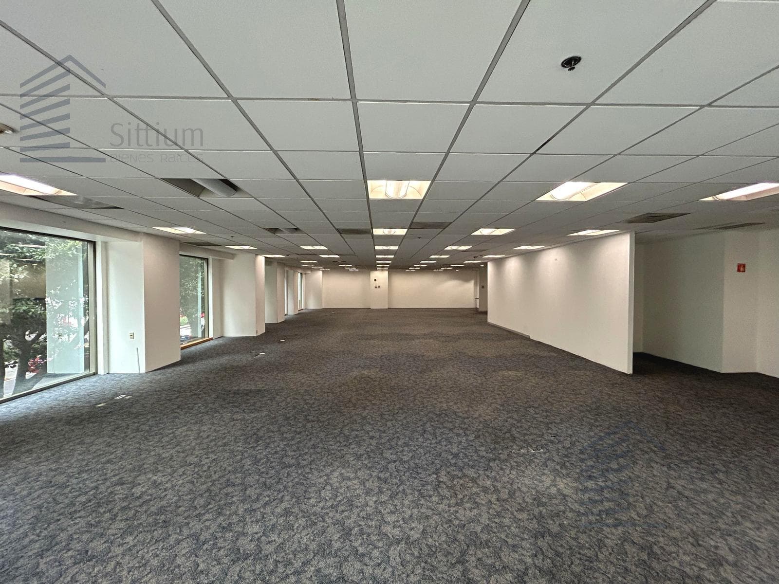 Office for Rent - Insurgentes Sur - 1st Floor - 697 m2