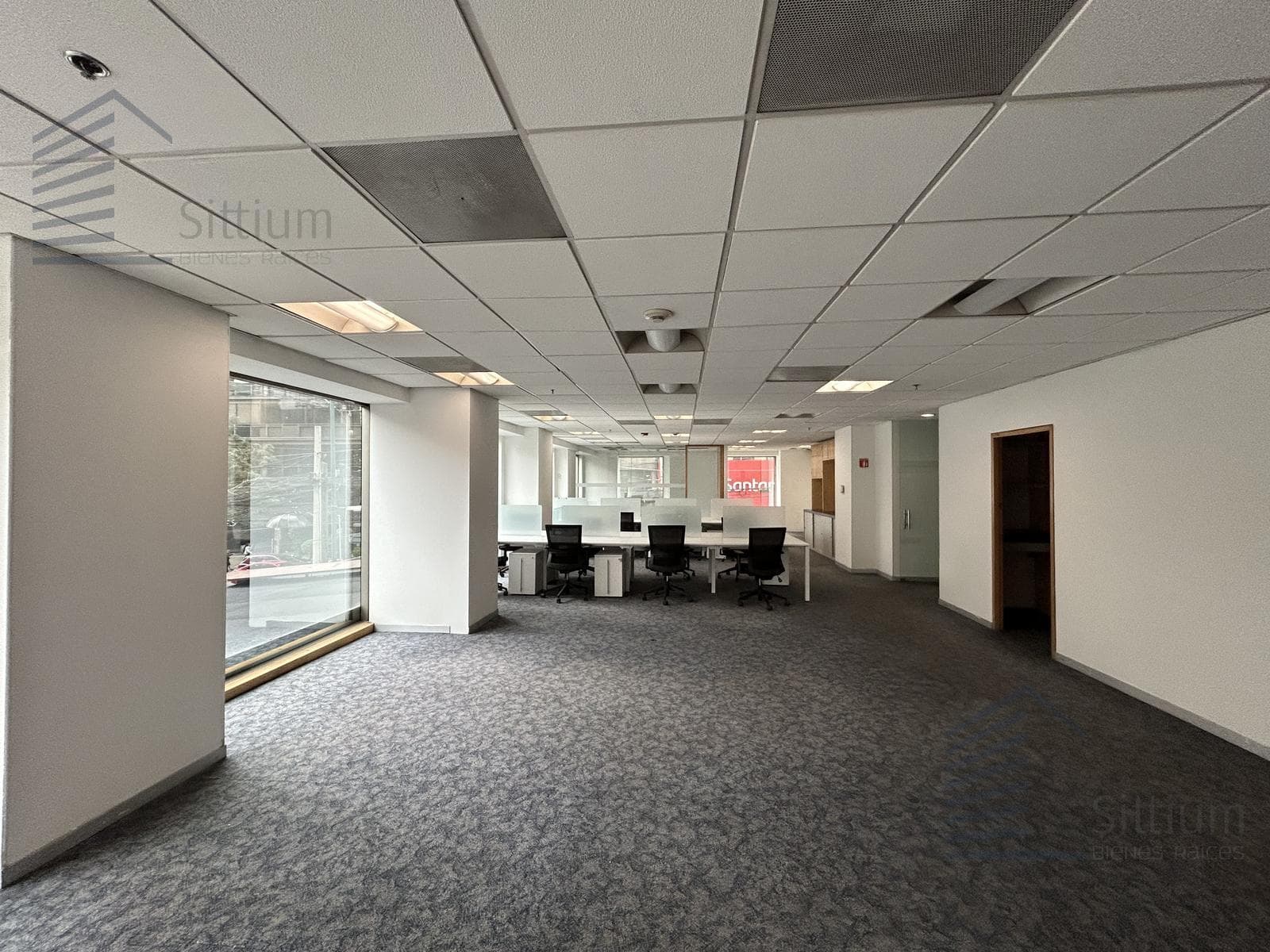 Office for Rent - Insurgentes Sur - 1st Floor - 697 m2