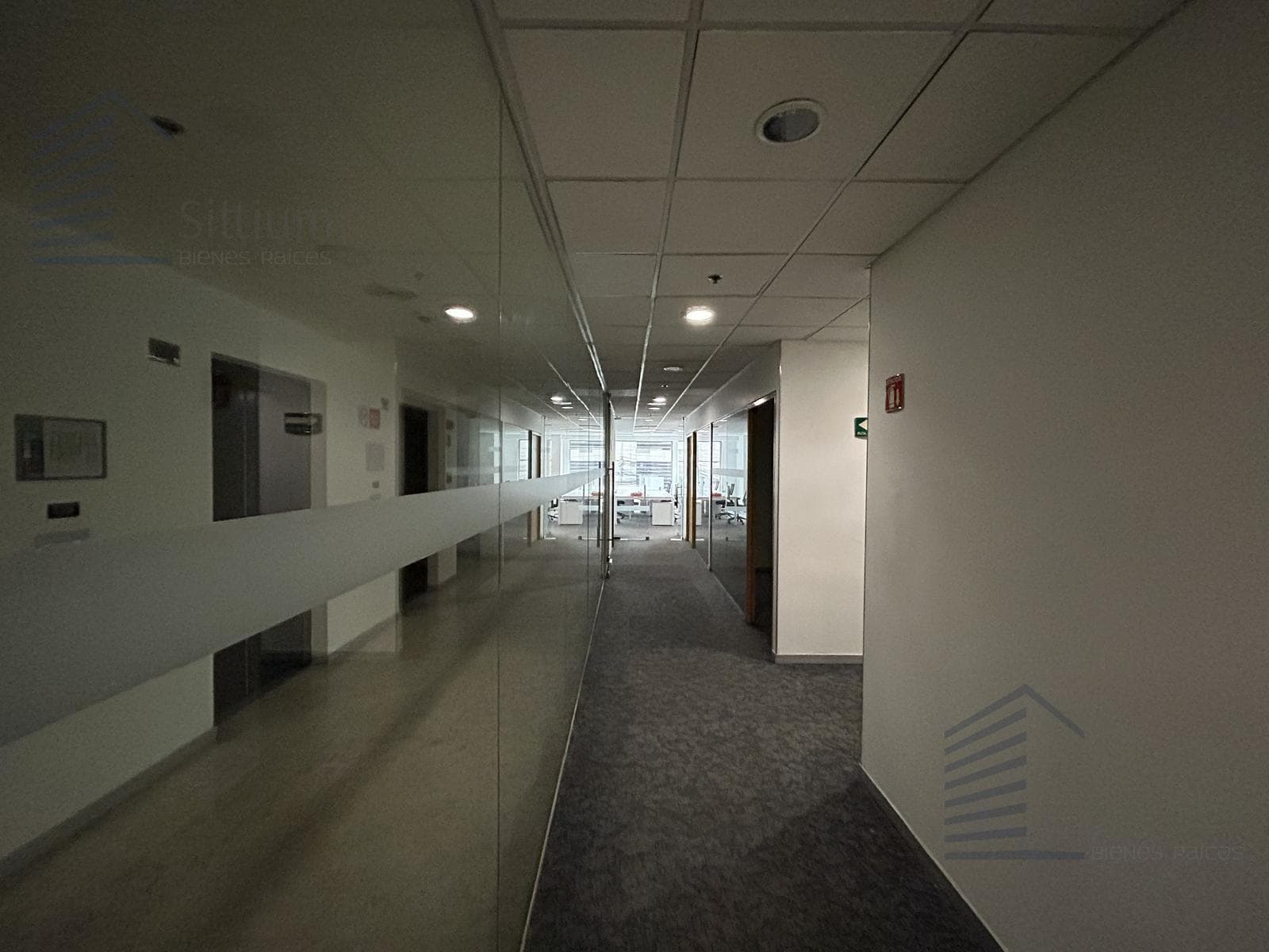 Office for Rent - Insurgentes Sur - 1st Floor - 697 m2