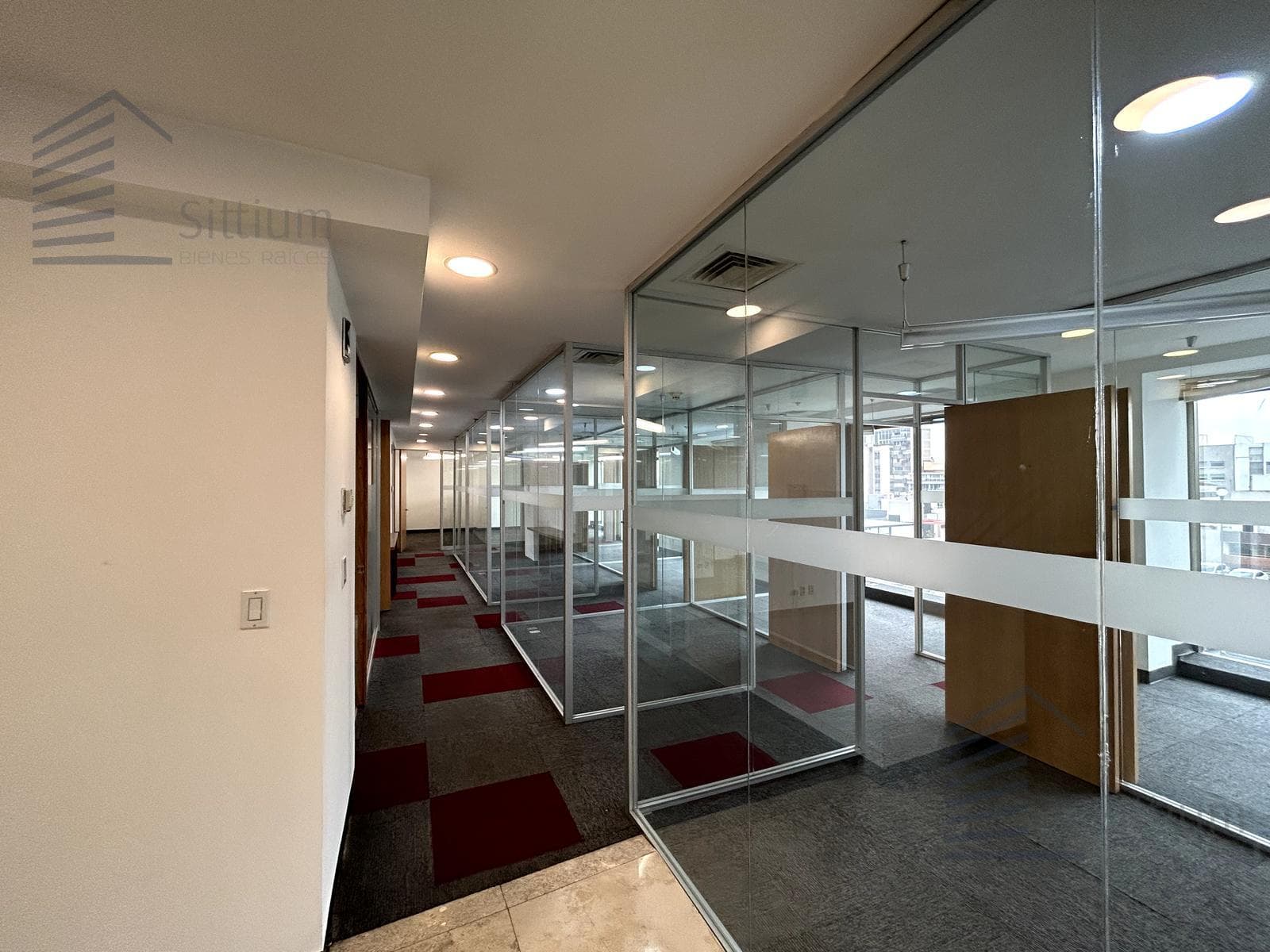 Office for Rent - Insurgentes Sur - 5th Floor - 342 m2