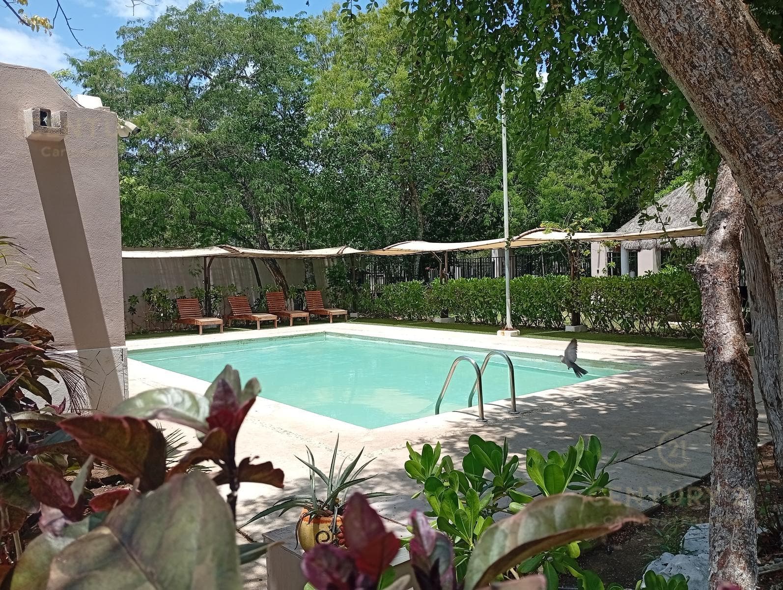 Furnished Apartment for Rent in Jardines de Mayakoba, First Floor, Playa del Carmen P4586