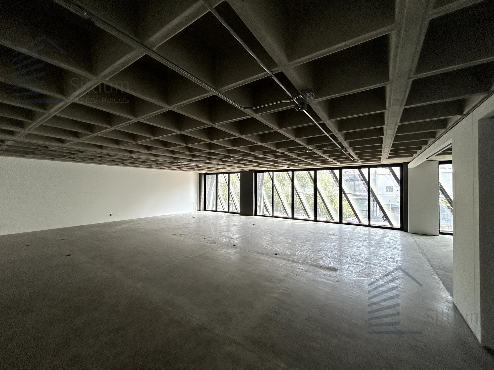 Office for Rent - Presidente Masaryk - 4th and 5th Floors - 460 m2