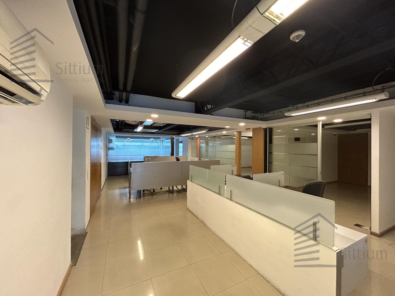 Office for Rent - Insurgentes Sur - 11th Floor - 297 m2