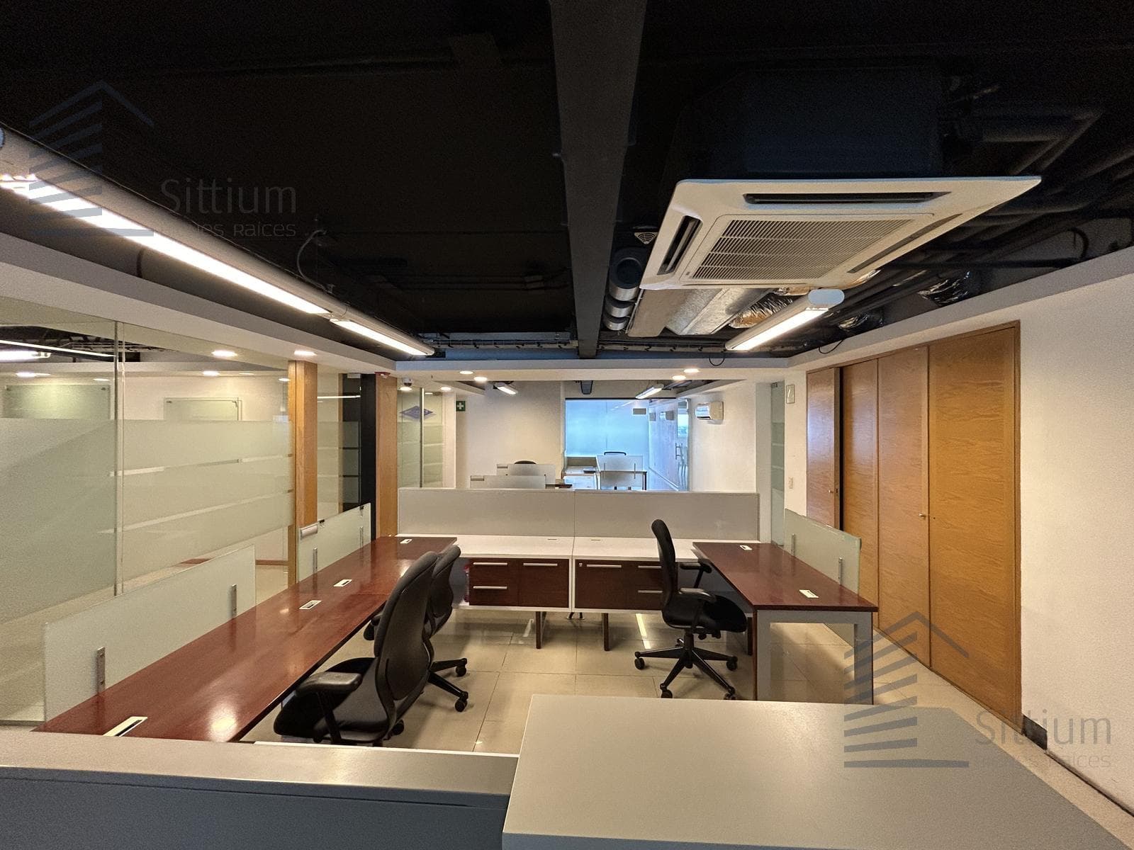 Office for Rent - Insurgentes Sur - 11th Floor - 297 m2