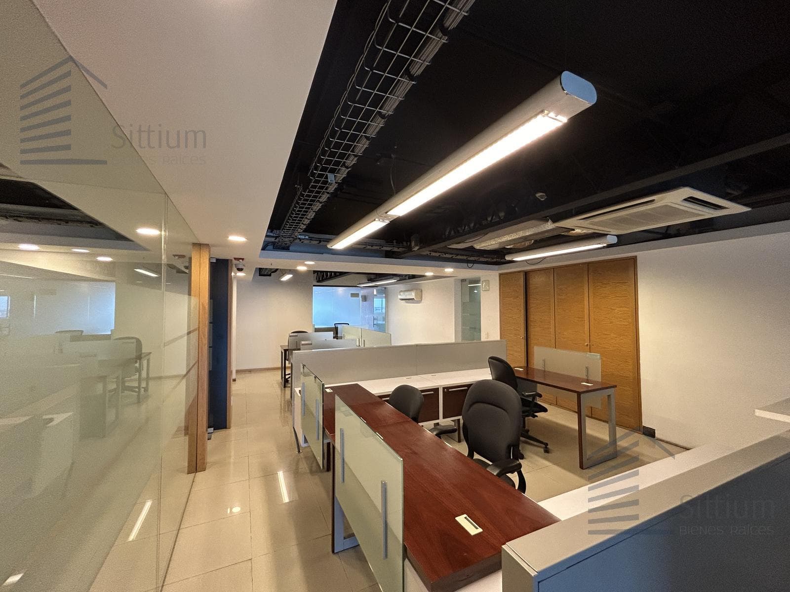 Office for Rent - Insurgentes Sur - 11th Floor - 297 m2