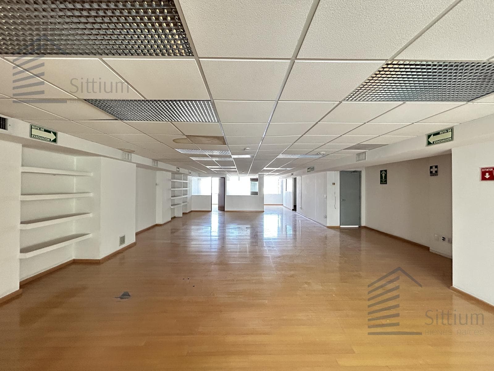 Office for Rent - Reforma, 14th Floor - 218 m2
