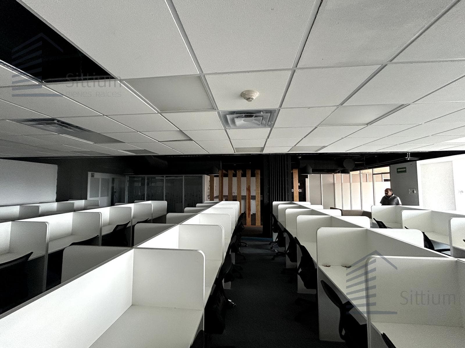 Office Space for Rent - Colonia Cuauhtémoc - 8th Floor - 280 m2